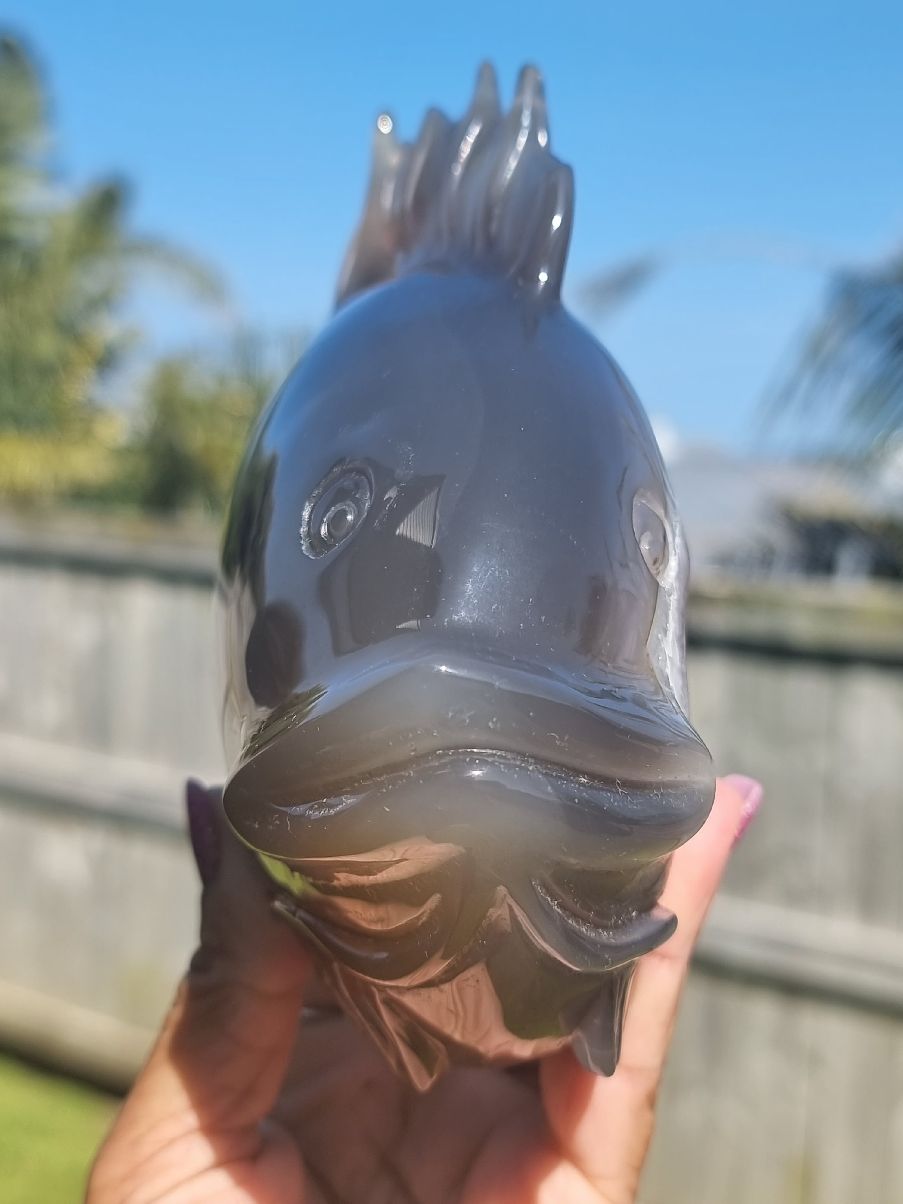 Agate Fish with Amethyst Druzy Large