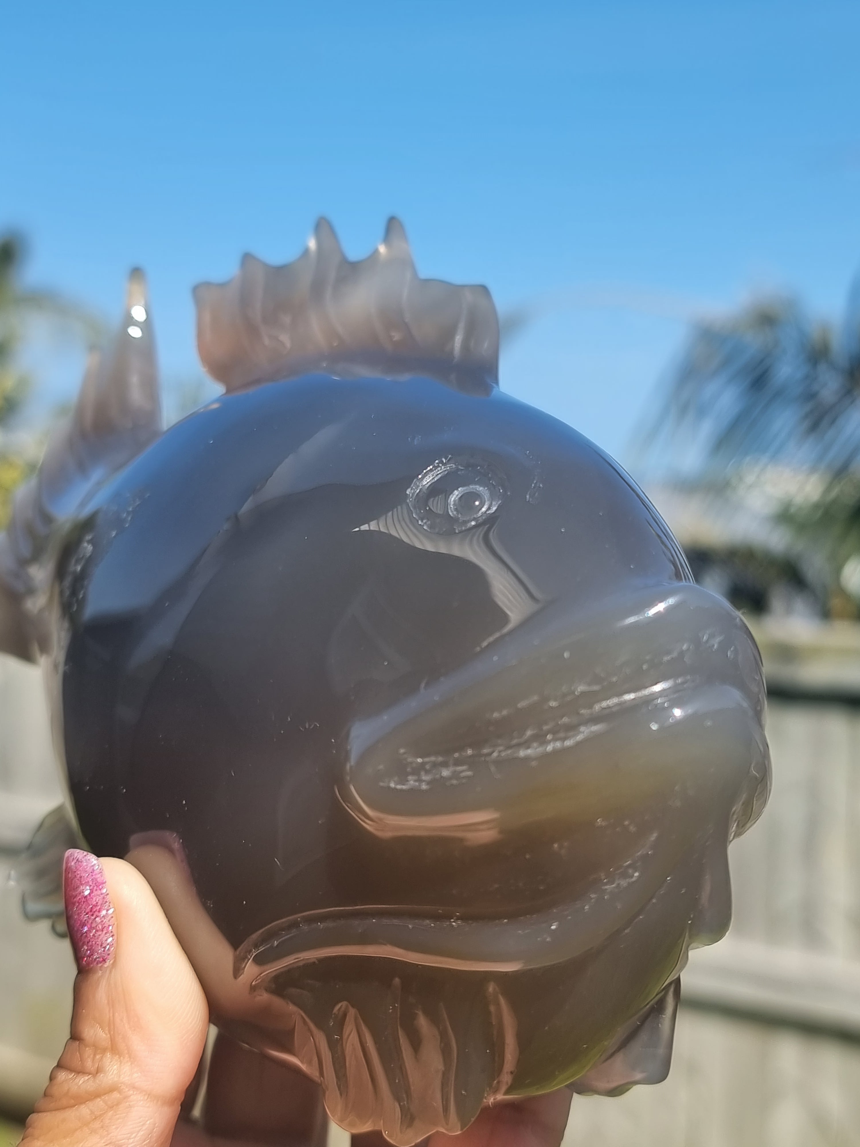 Agate Fish with Amethyst Druzy Large