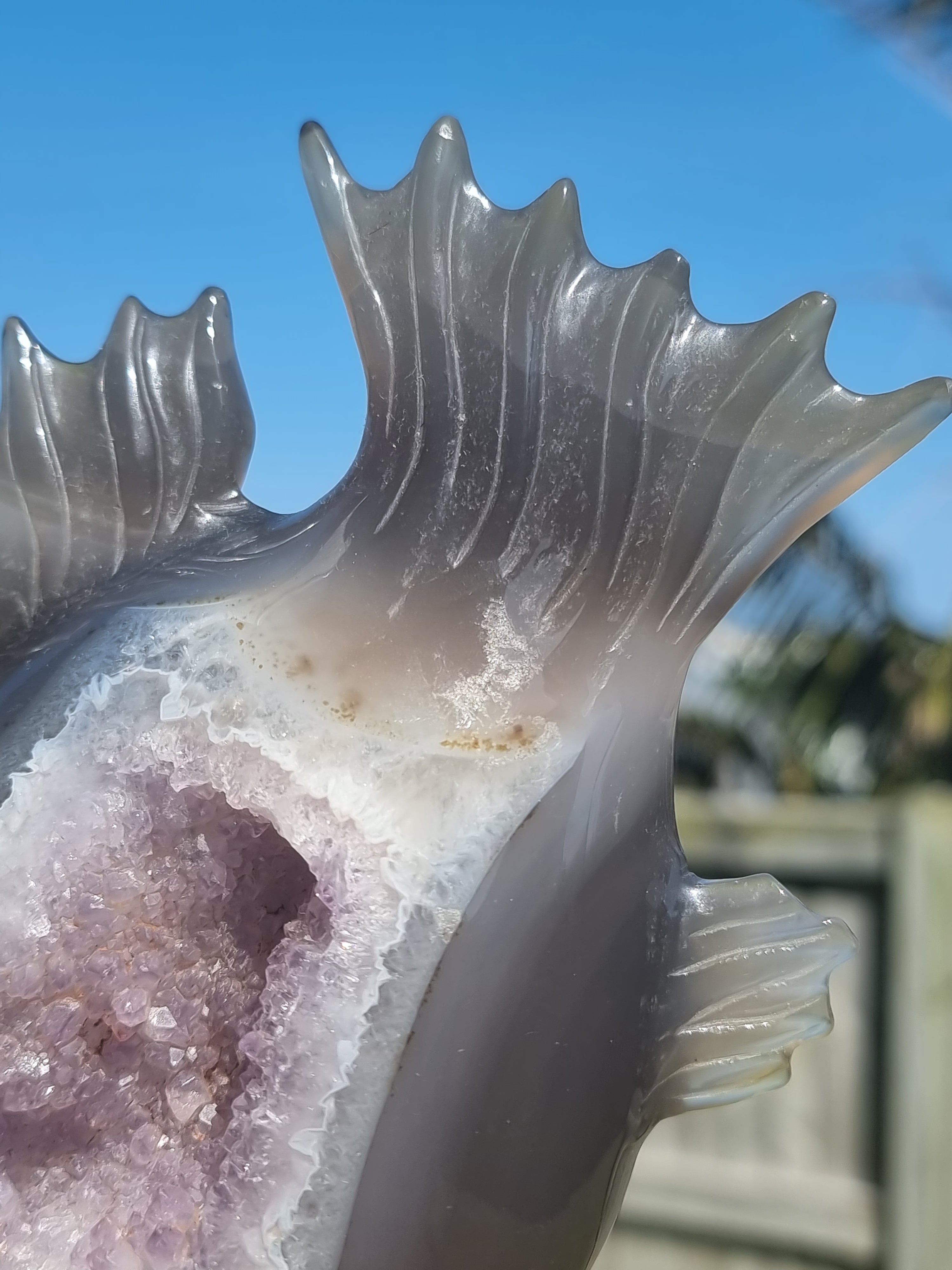 Agate Fish with Amethyst Druzy Large