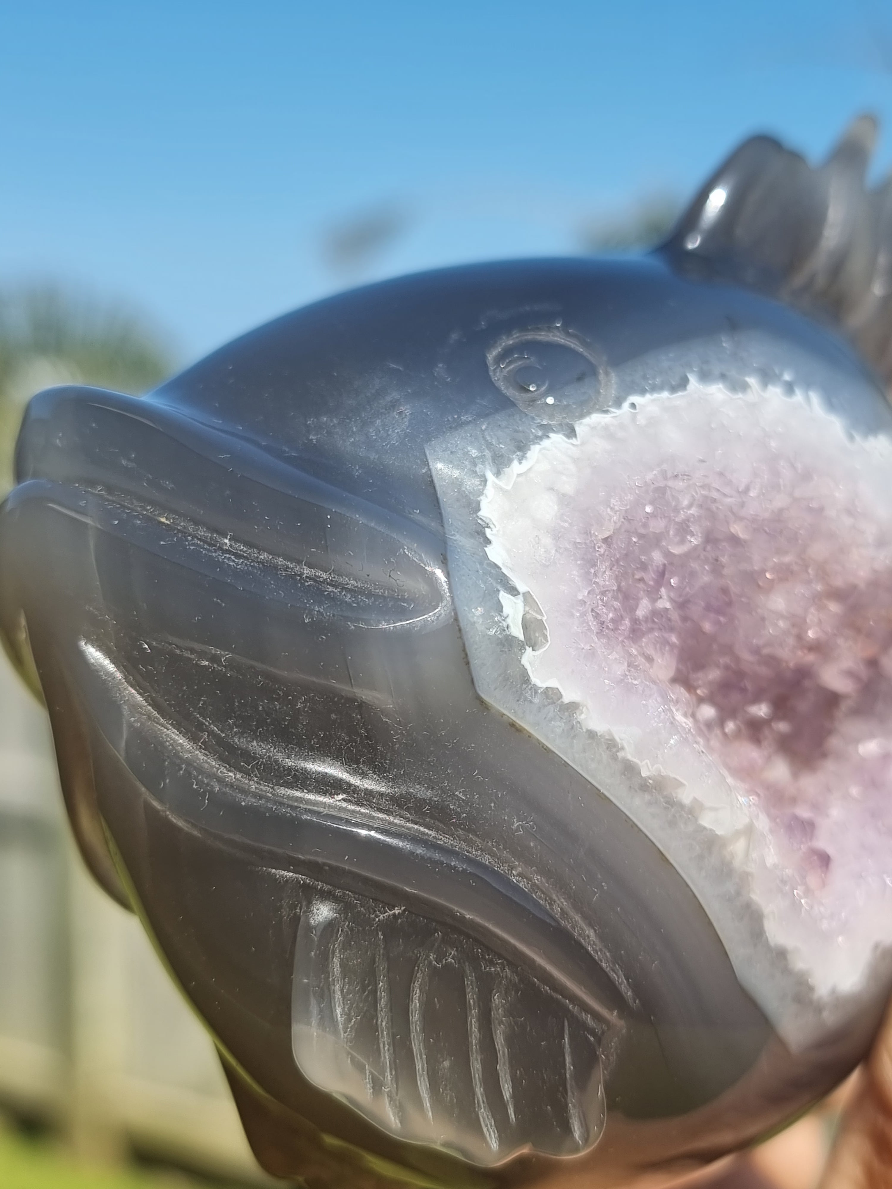 Agate Fish with Amethyst Druzy Large