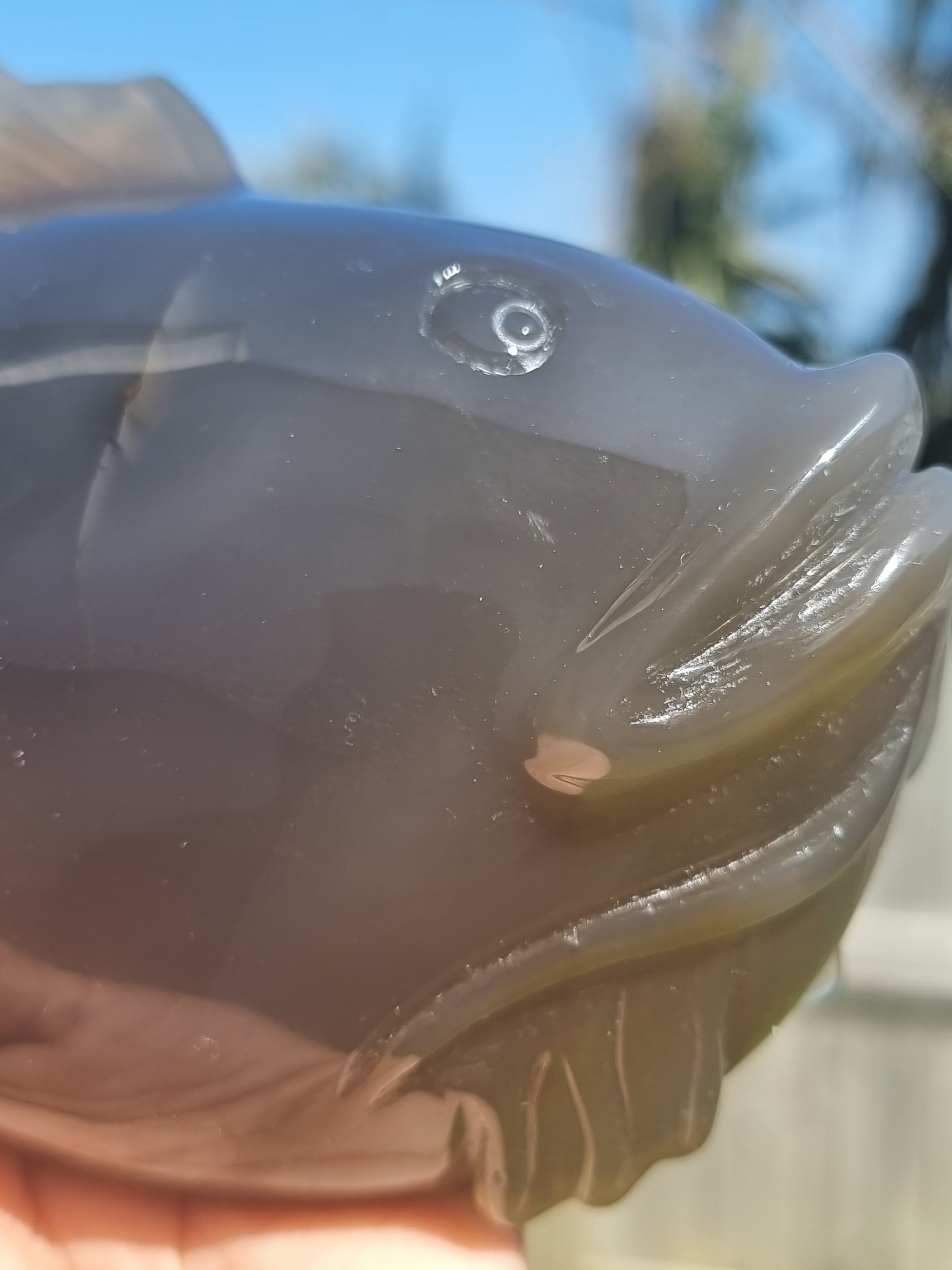 Agate Fish with Amethyst Druzy Large