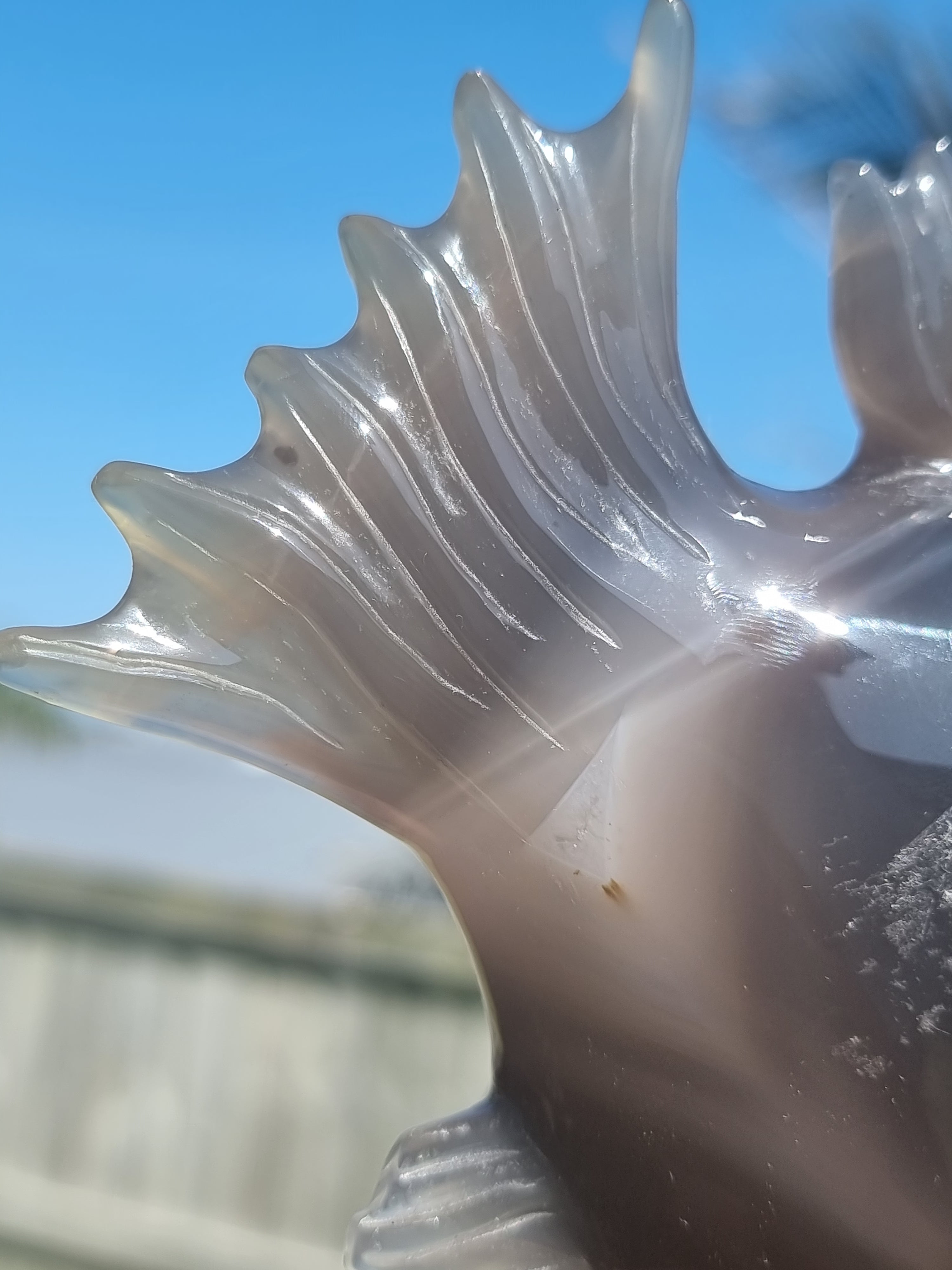 Agate Fish with Amethyst Druzy Large