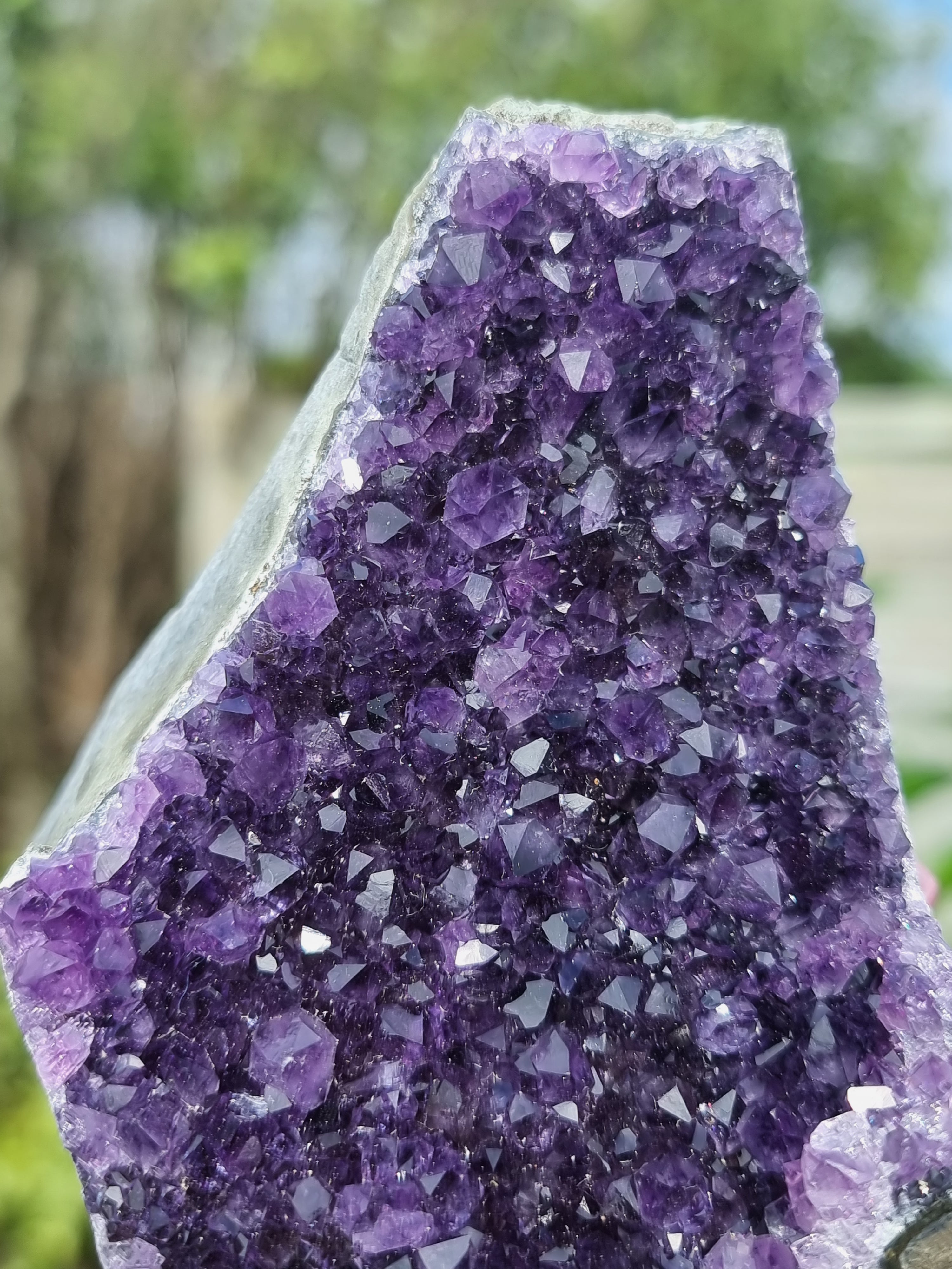 Uruguay Amethyst Cluster Freeform
