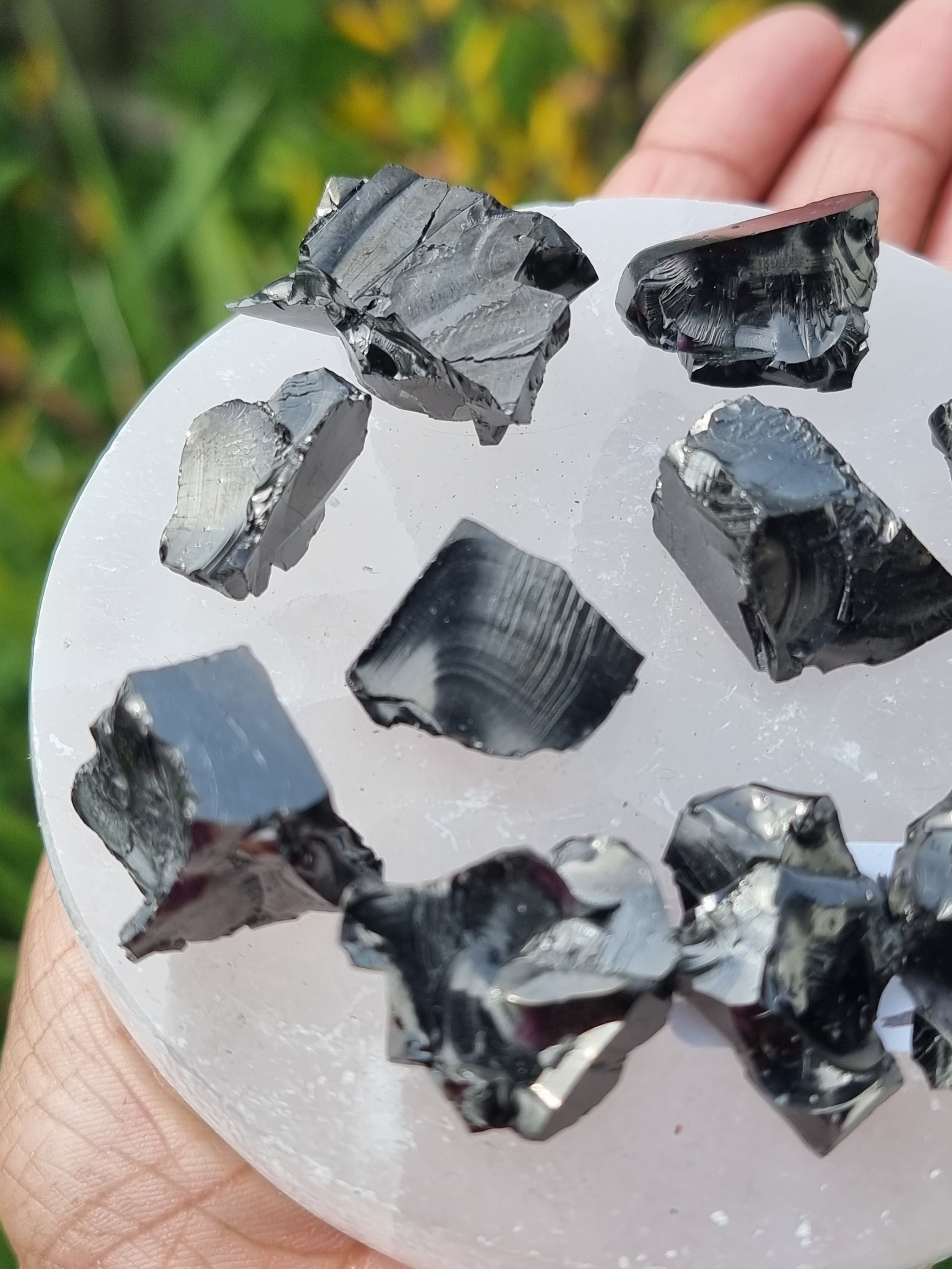 Elite Shungite Rough