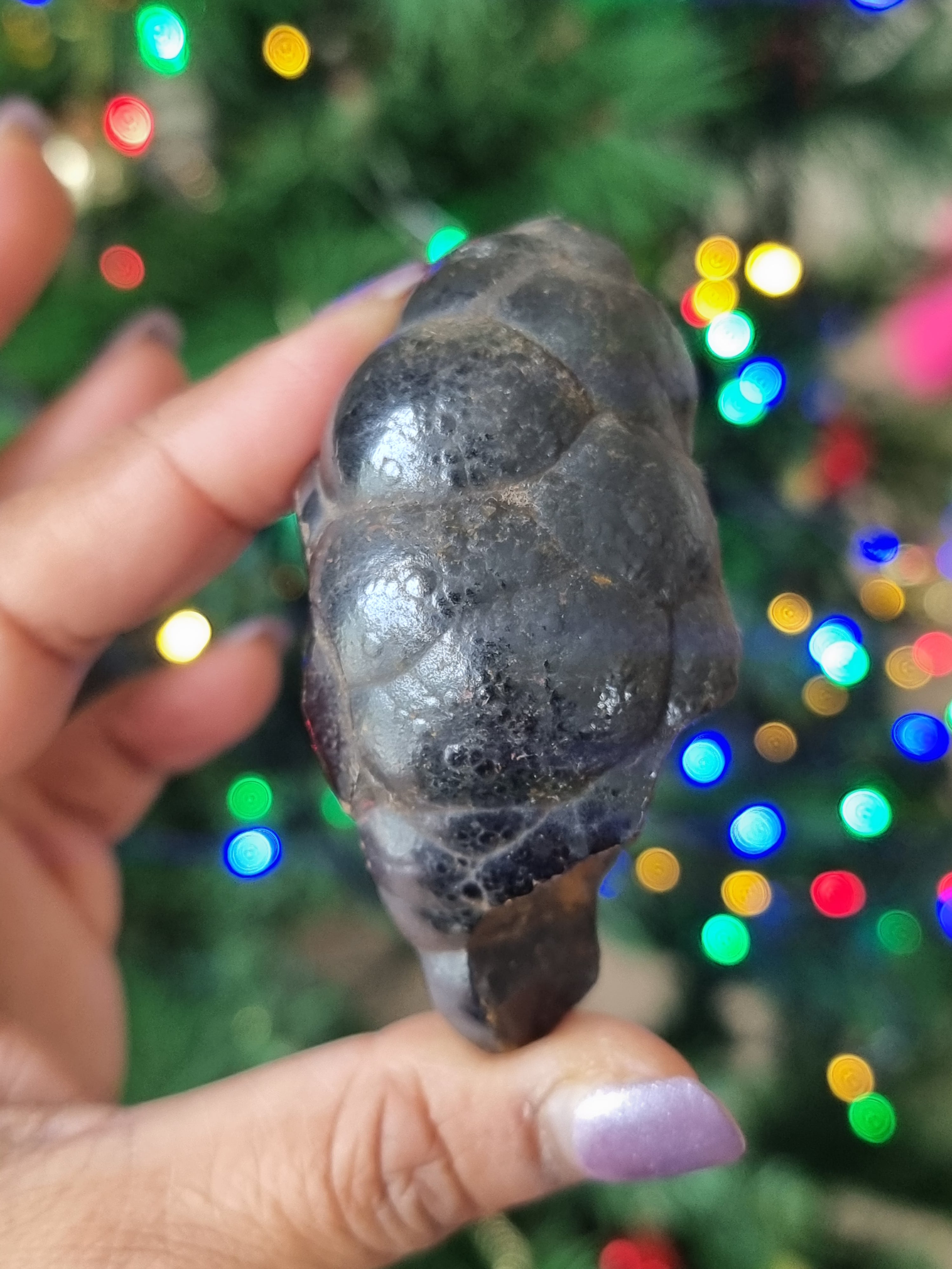 Botryoidal Hematite Rough