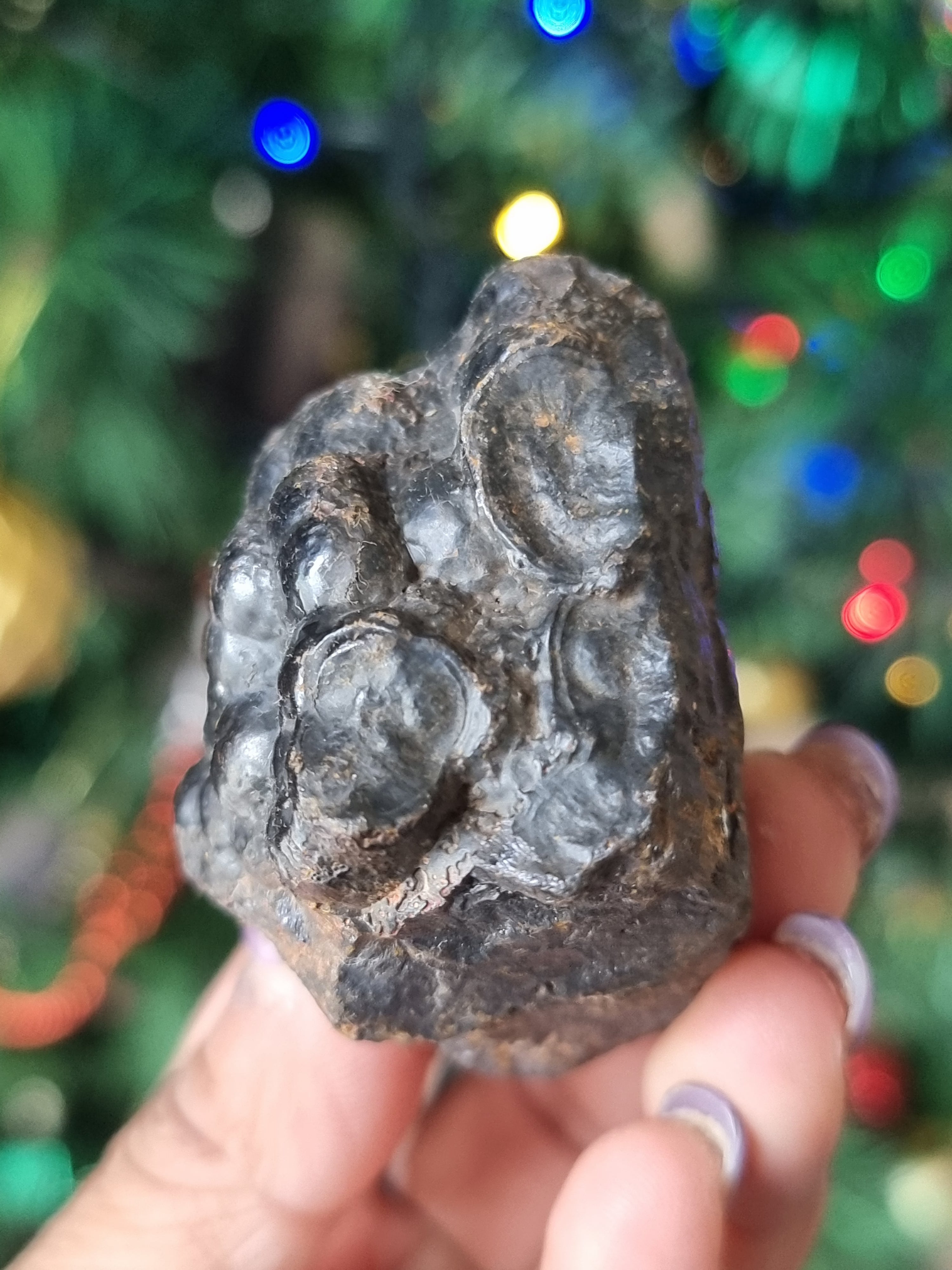 Botryoidal Hematite Rough