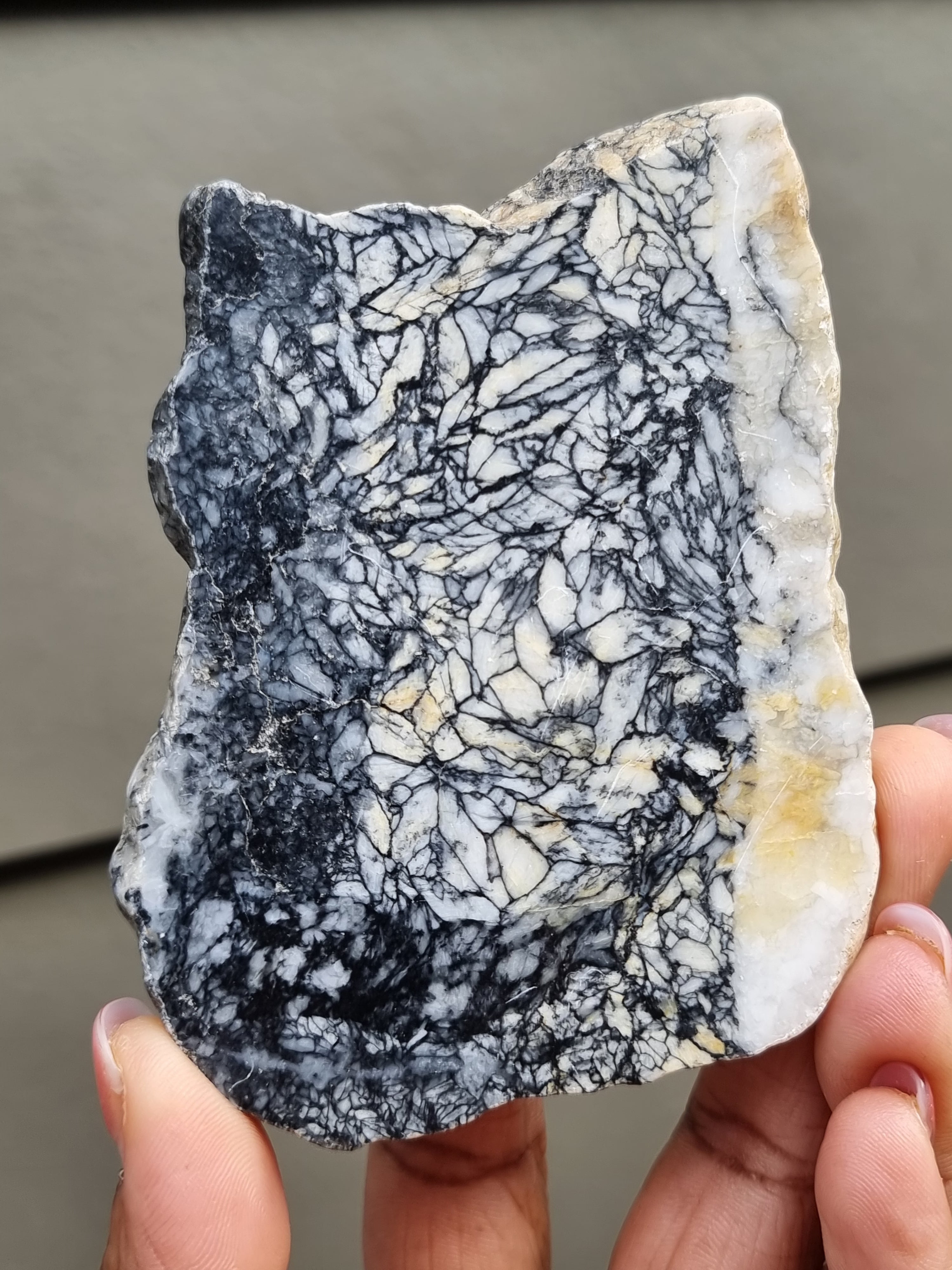 Pinolith Jasper Rough Slab