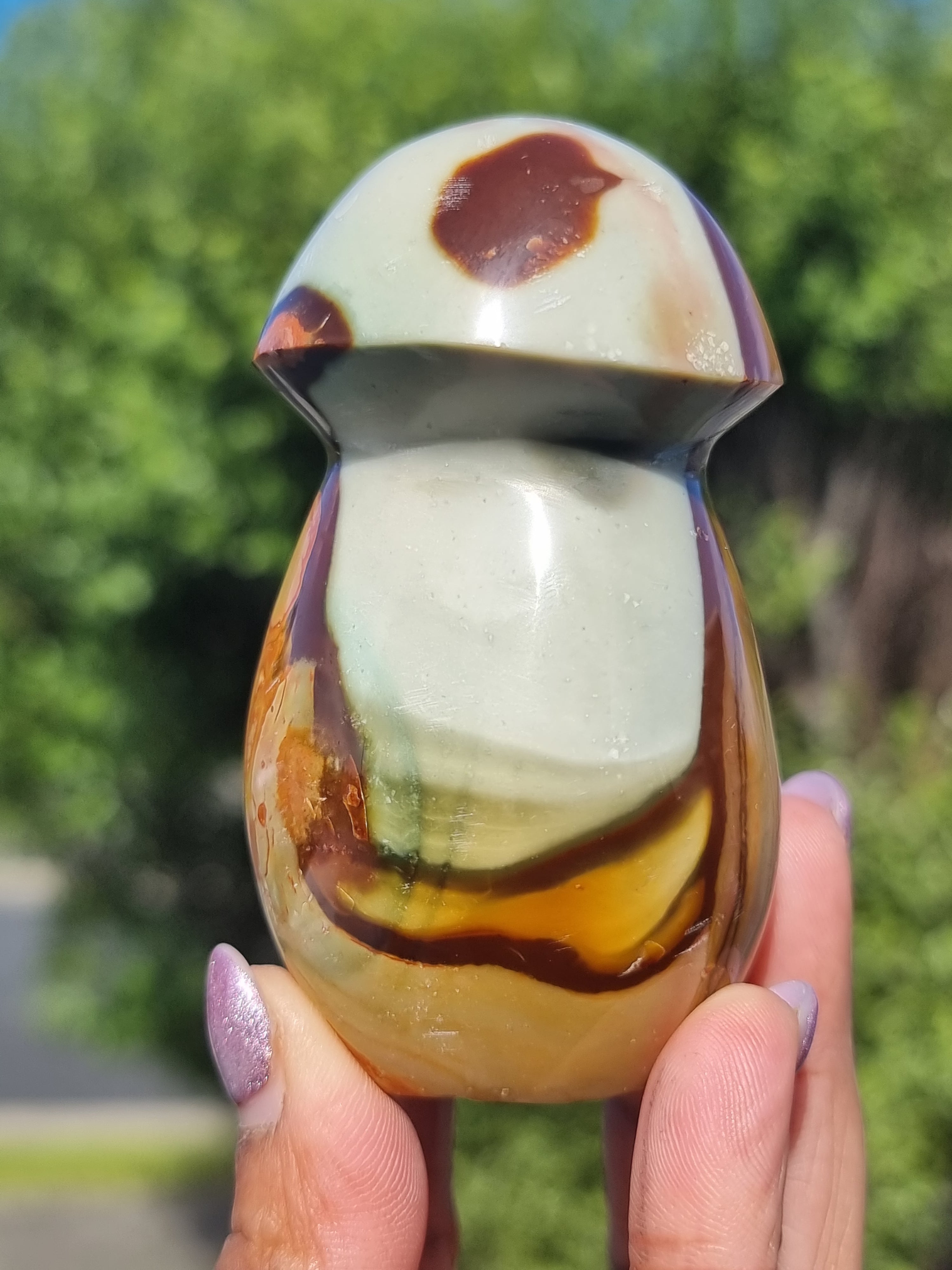 Polychrome Jasper Mushroom