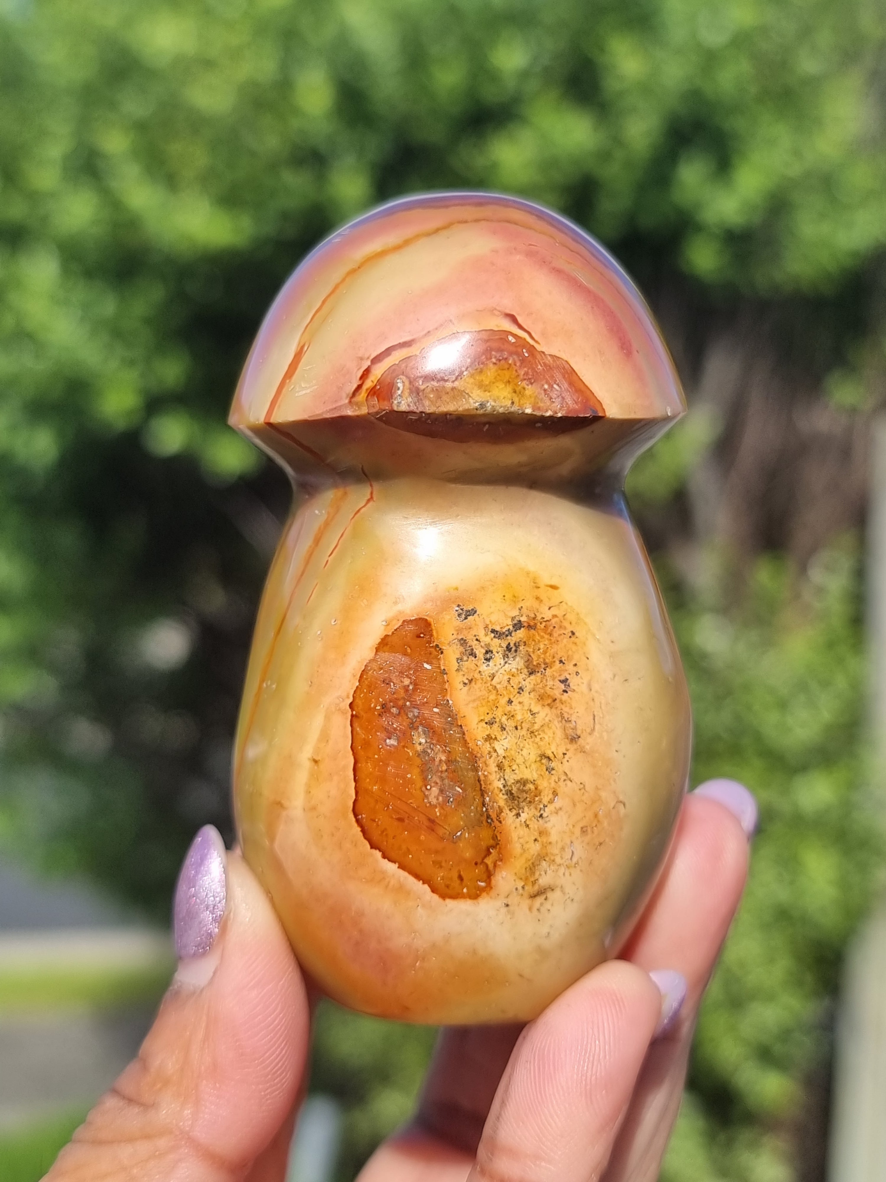 Polychrome Jasper Mushroom