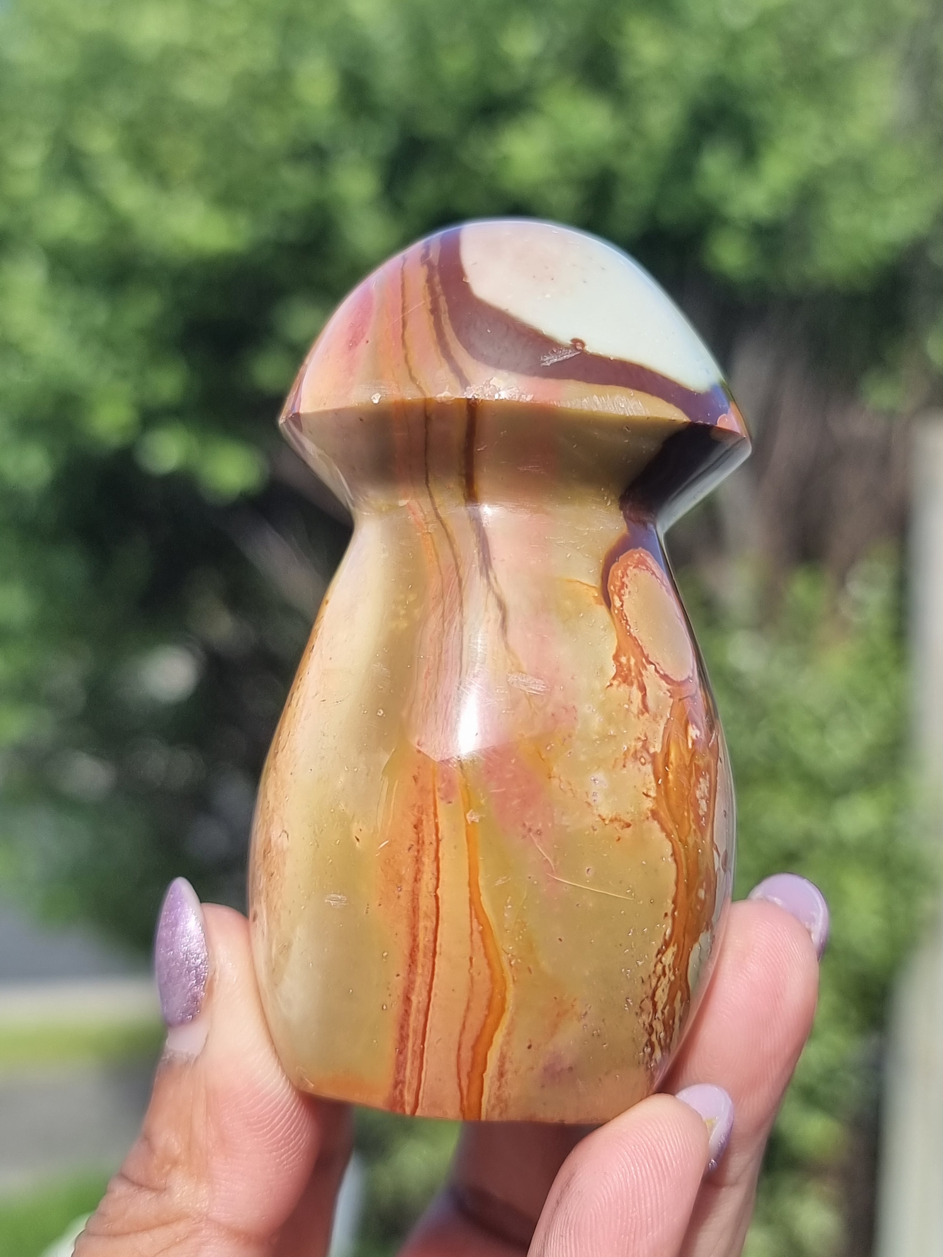 Polychrome Jasper Mushroom