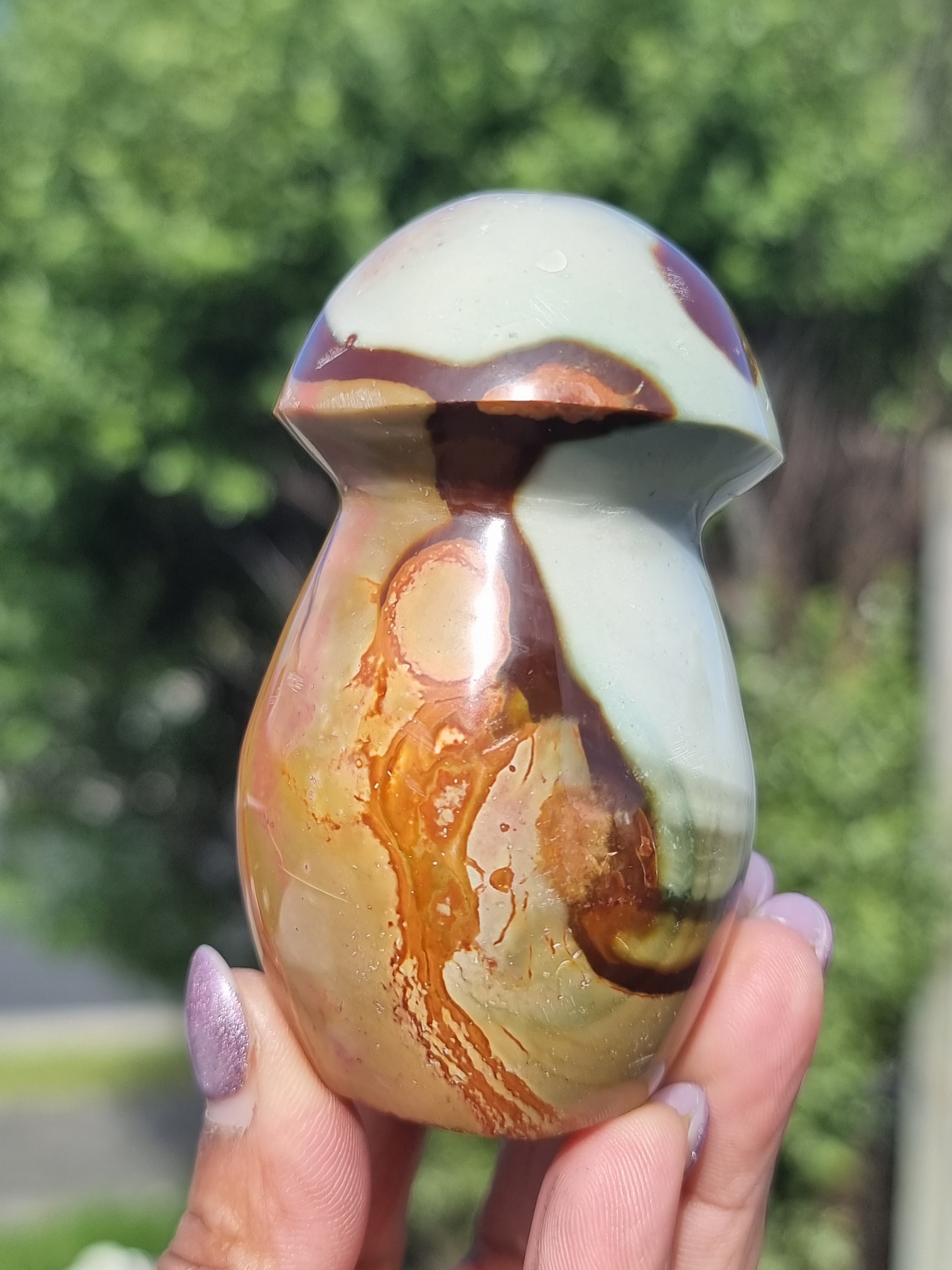 Polychrome Jasper Mushroom