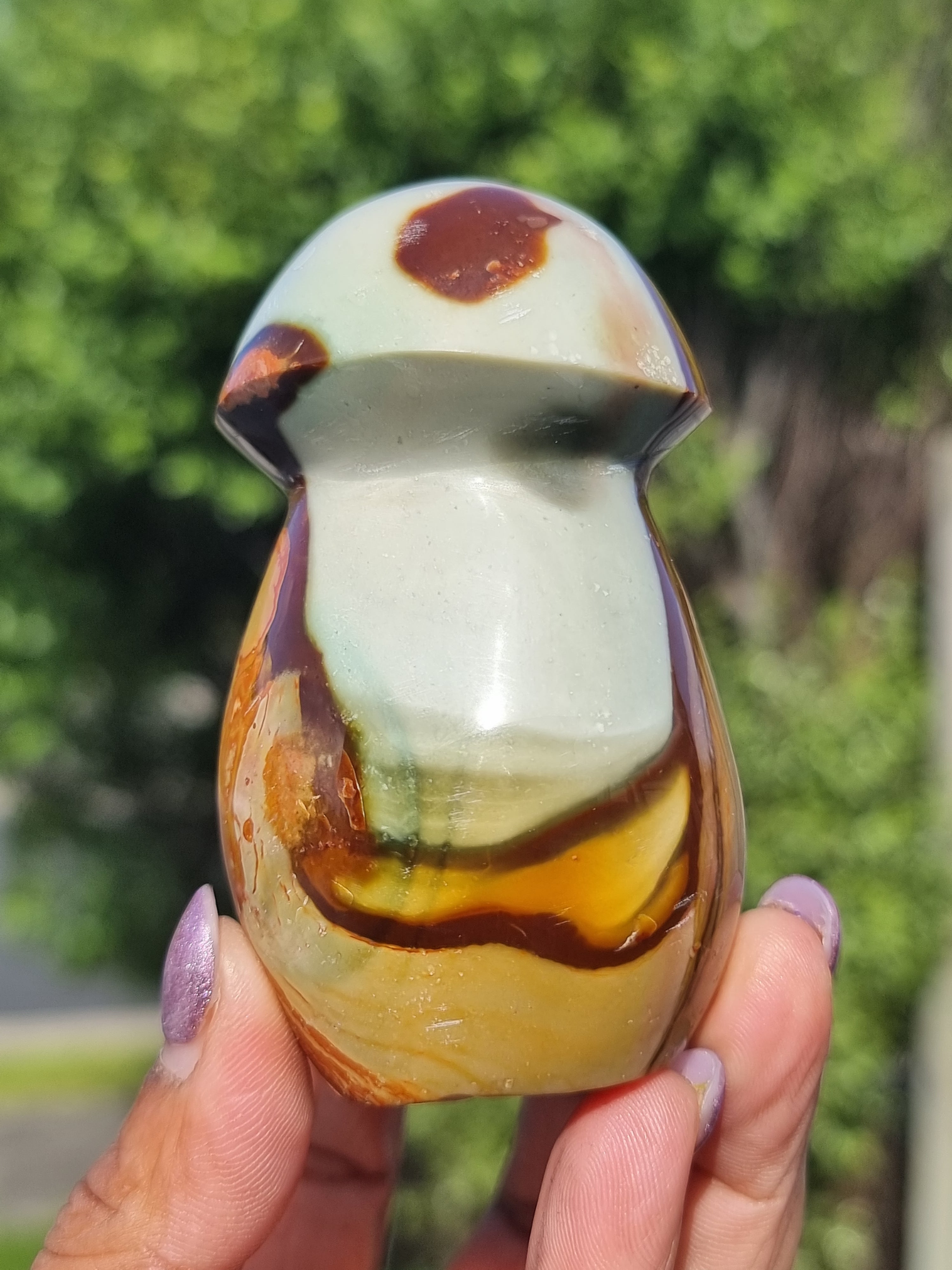Polychrome Jasper Mushroom