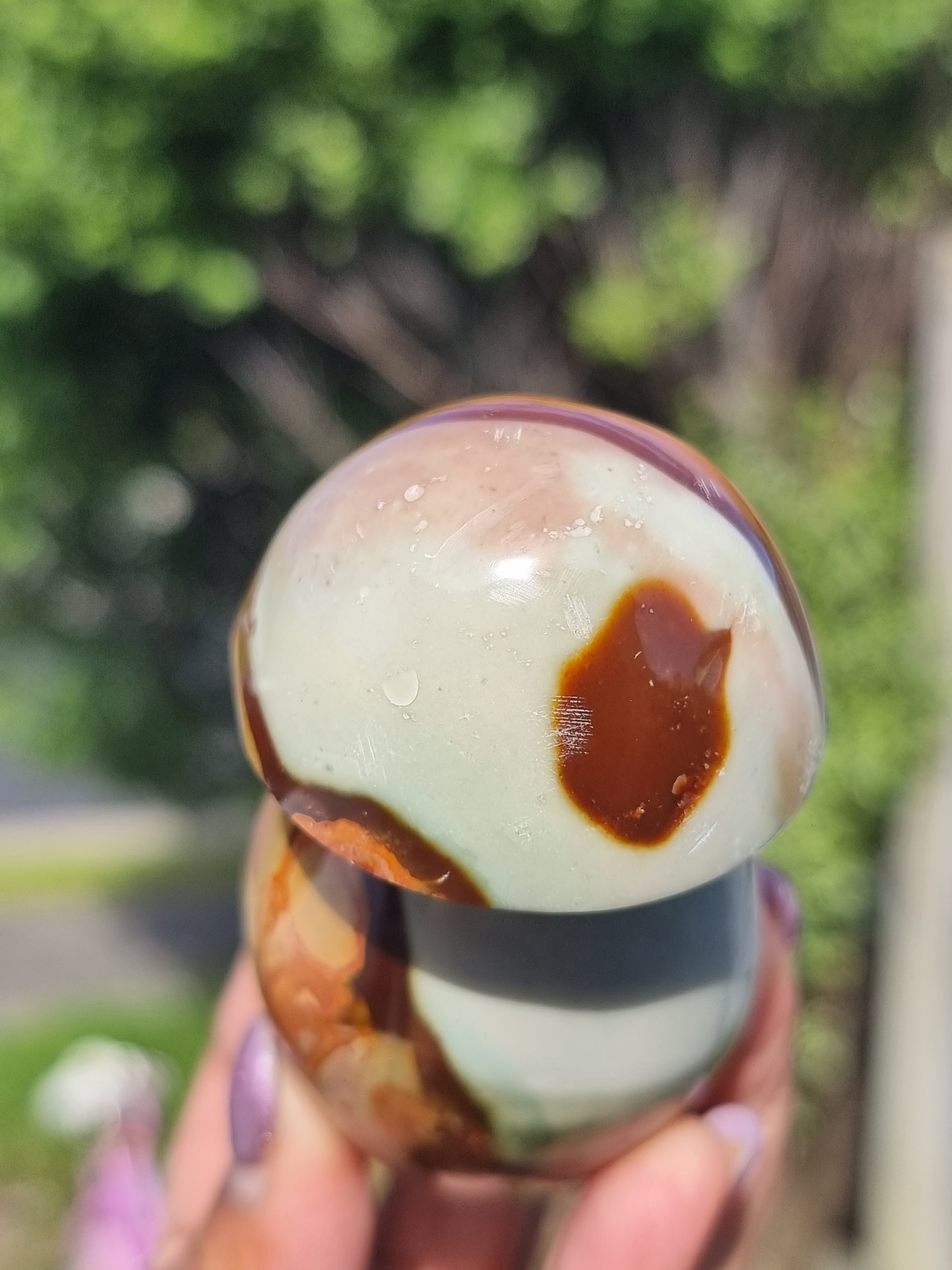 Polychrome Jasper Mushroom