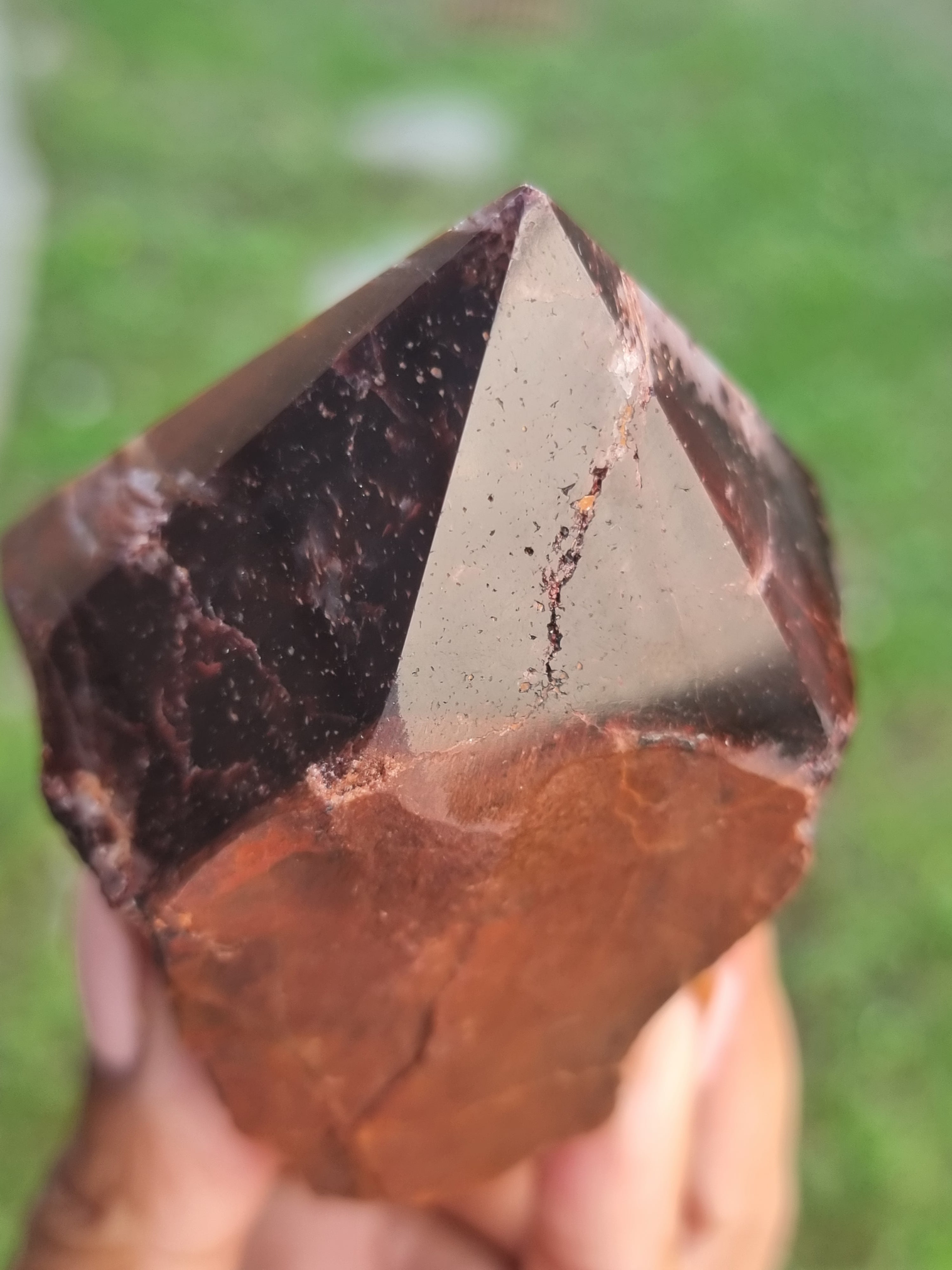 Red Tigers eye Rough Tip Point