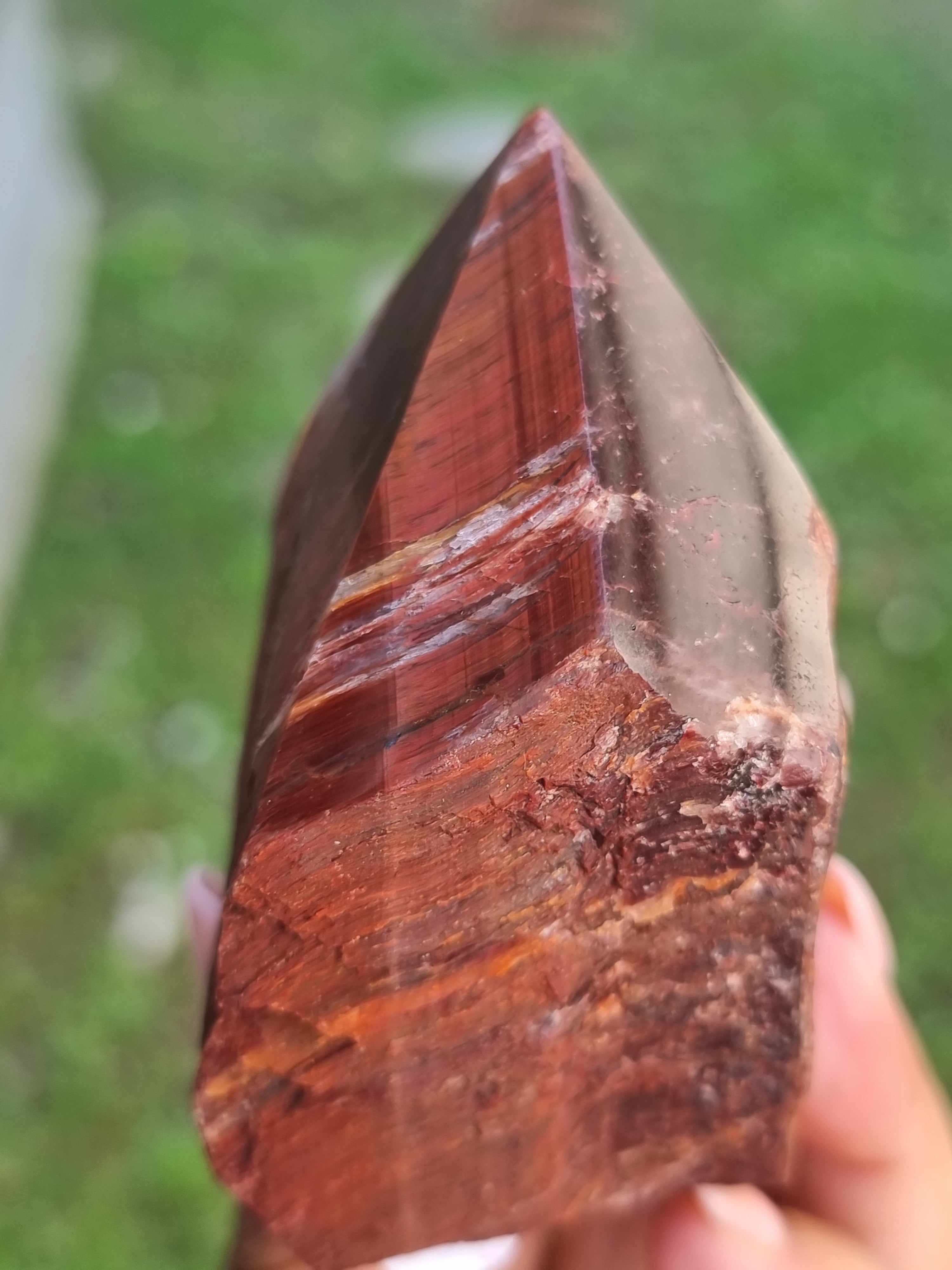 Red Tigers eye Rough Tip Point