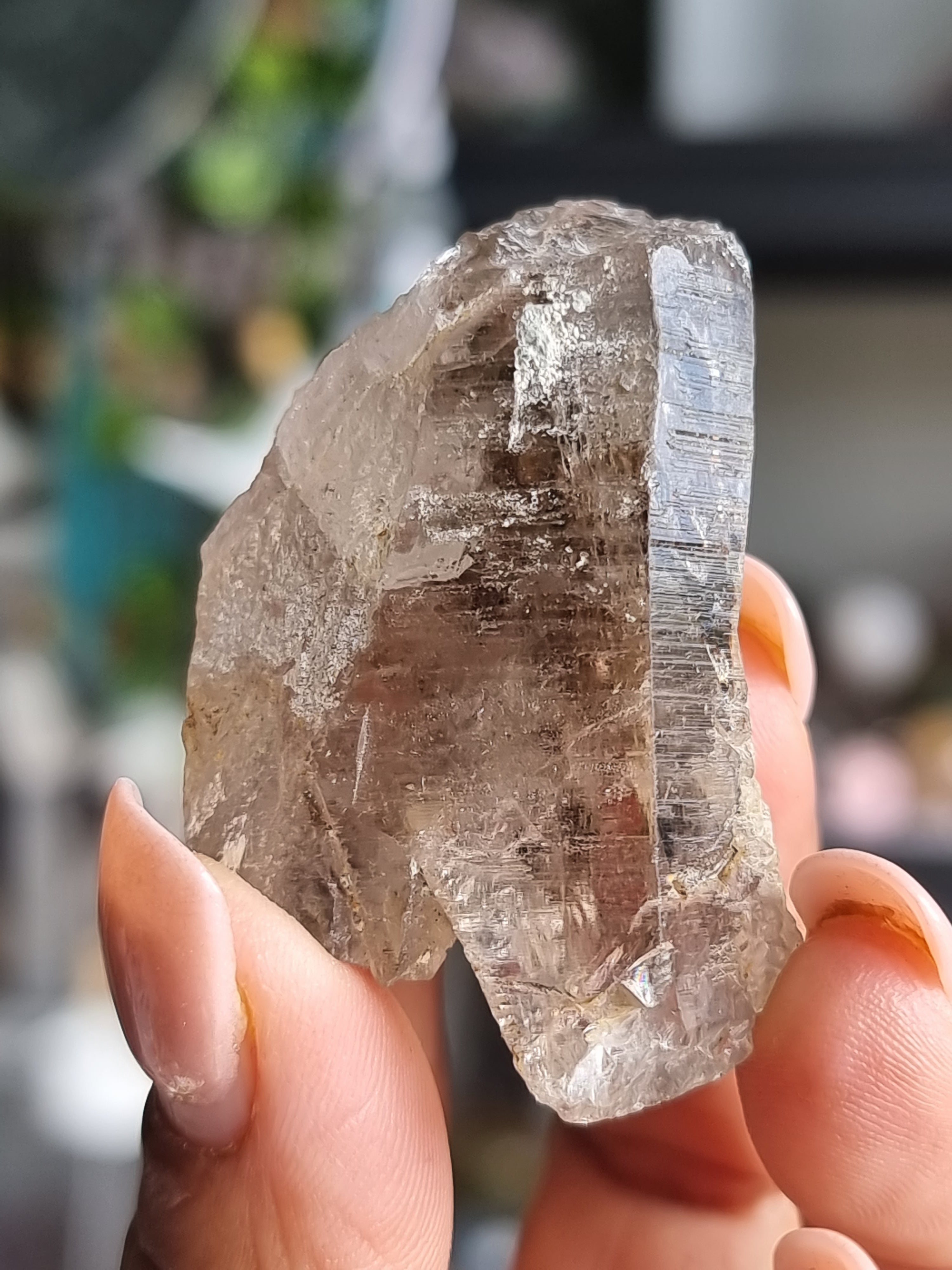 Lemurian Quartz with Brookite
