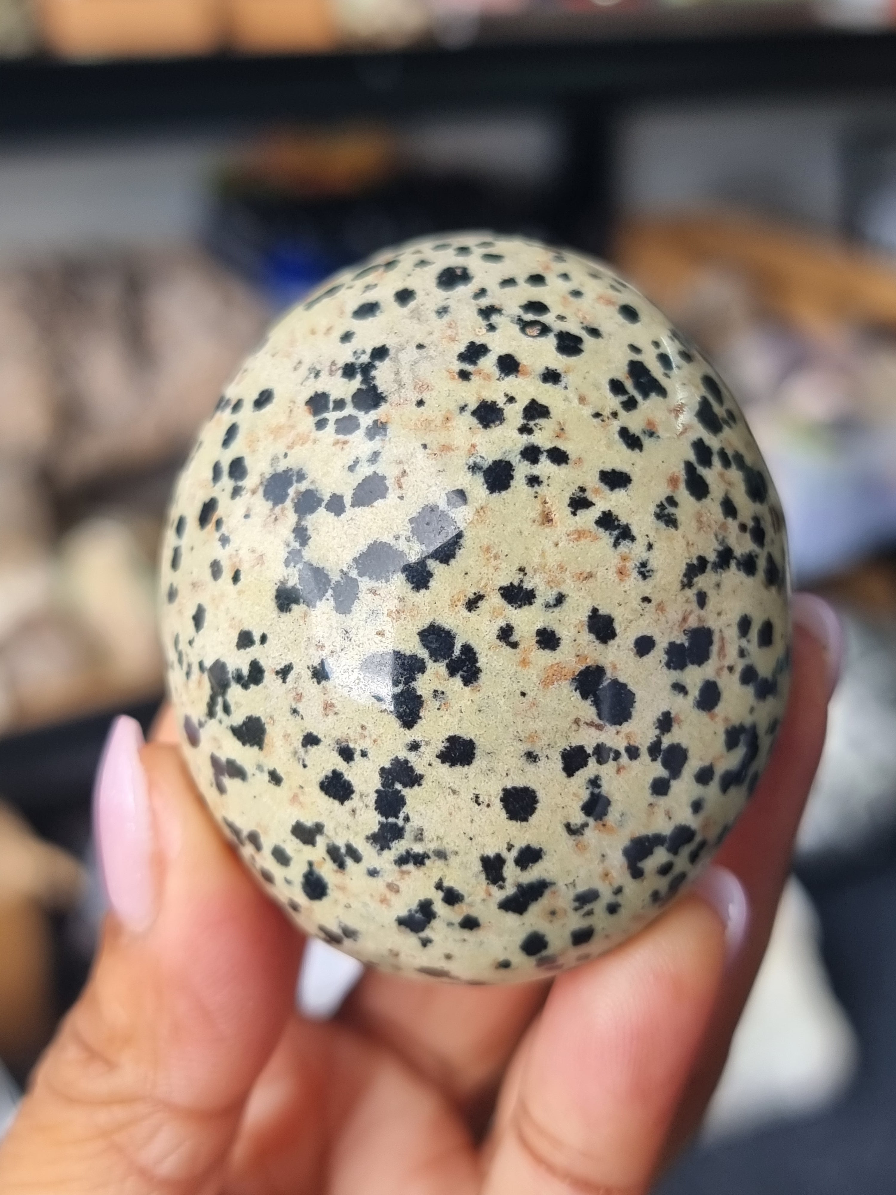 Dalmatian Jasper Palm Stone