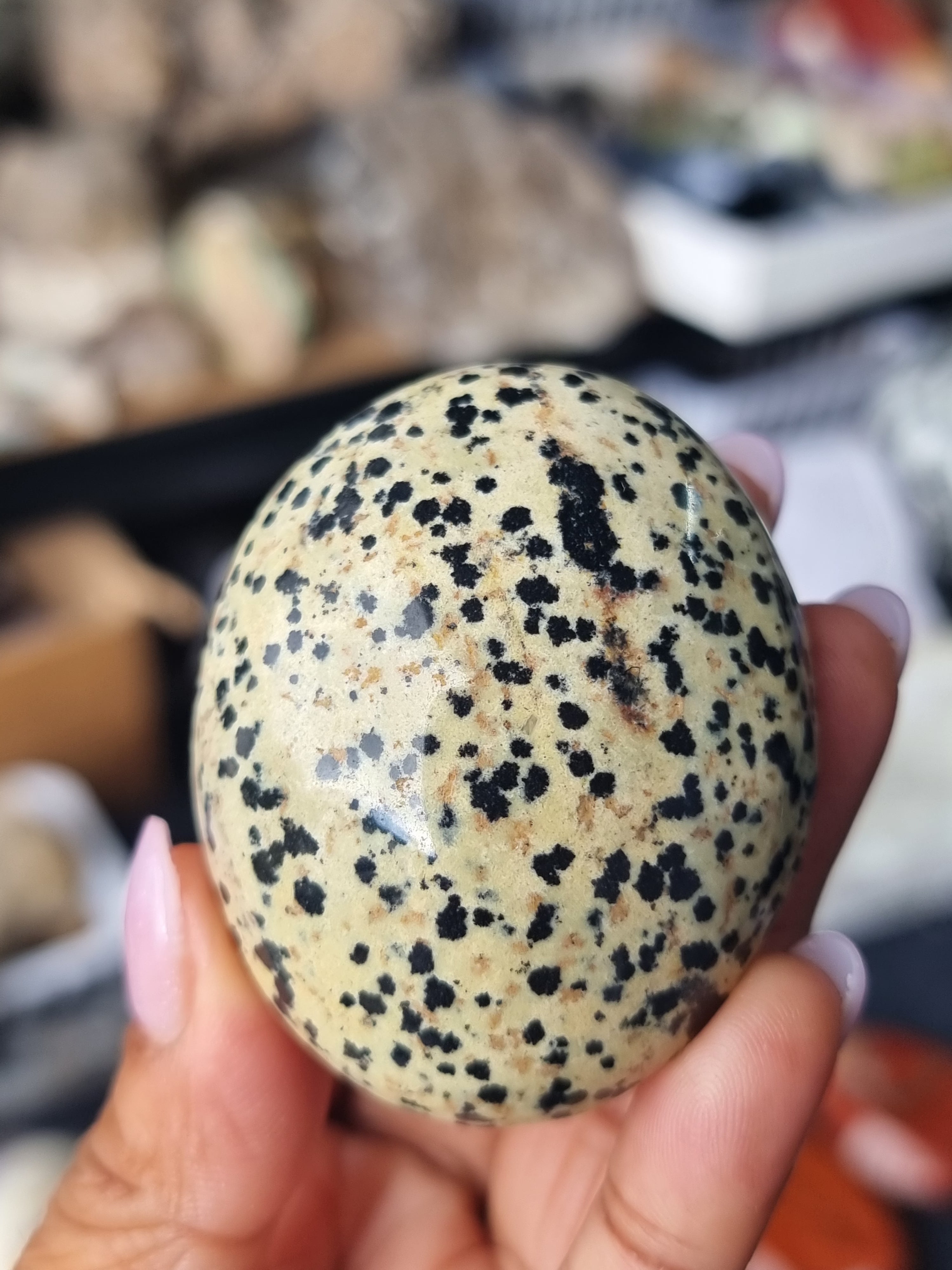 Dalmatian Jasper Palm Stone