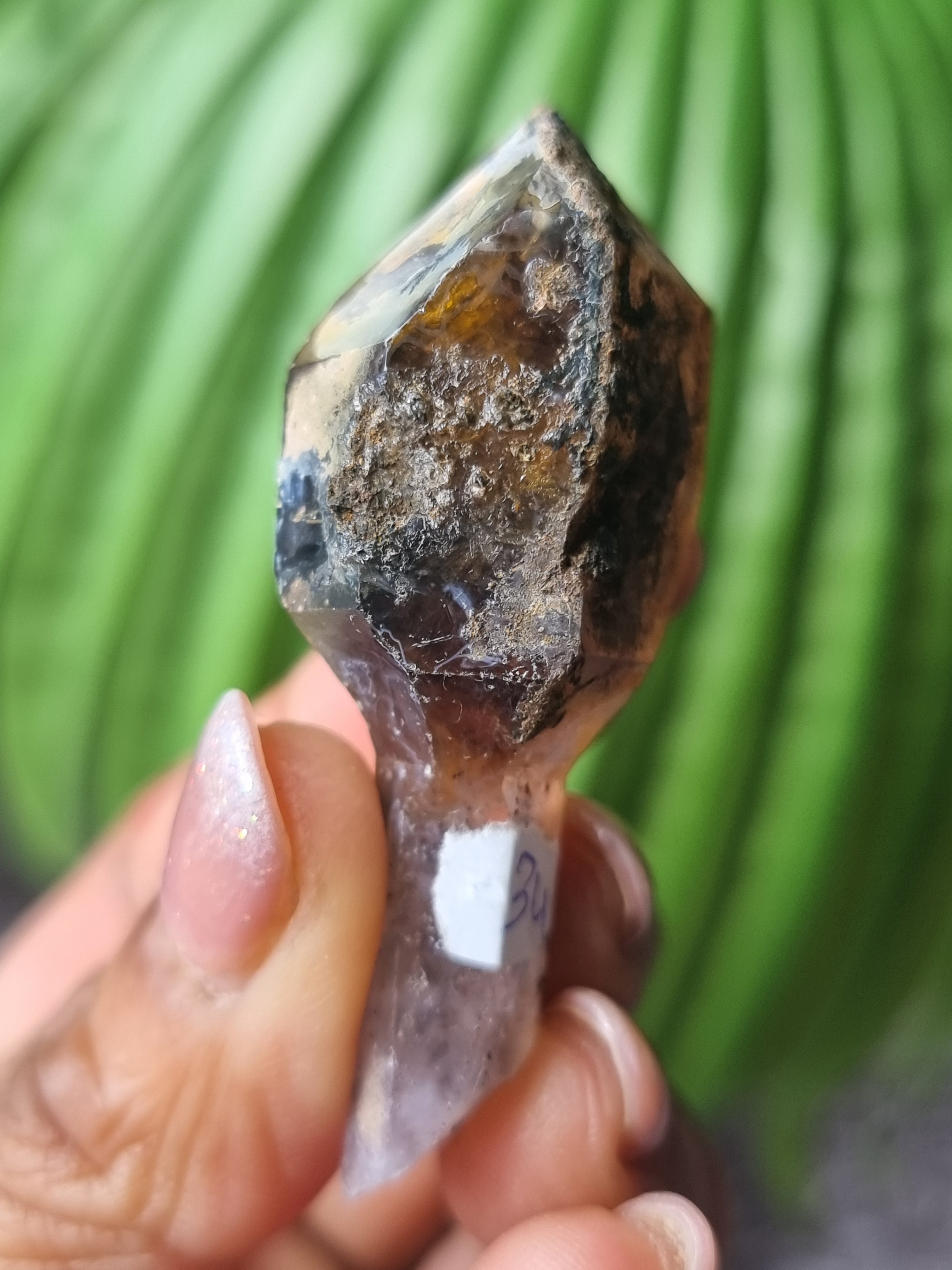 Amethyst Rough Sceptor