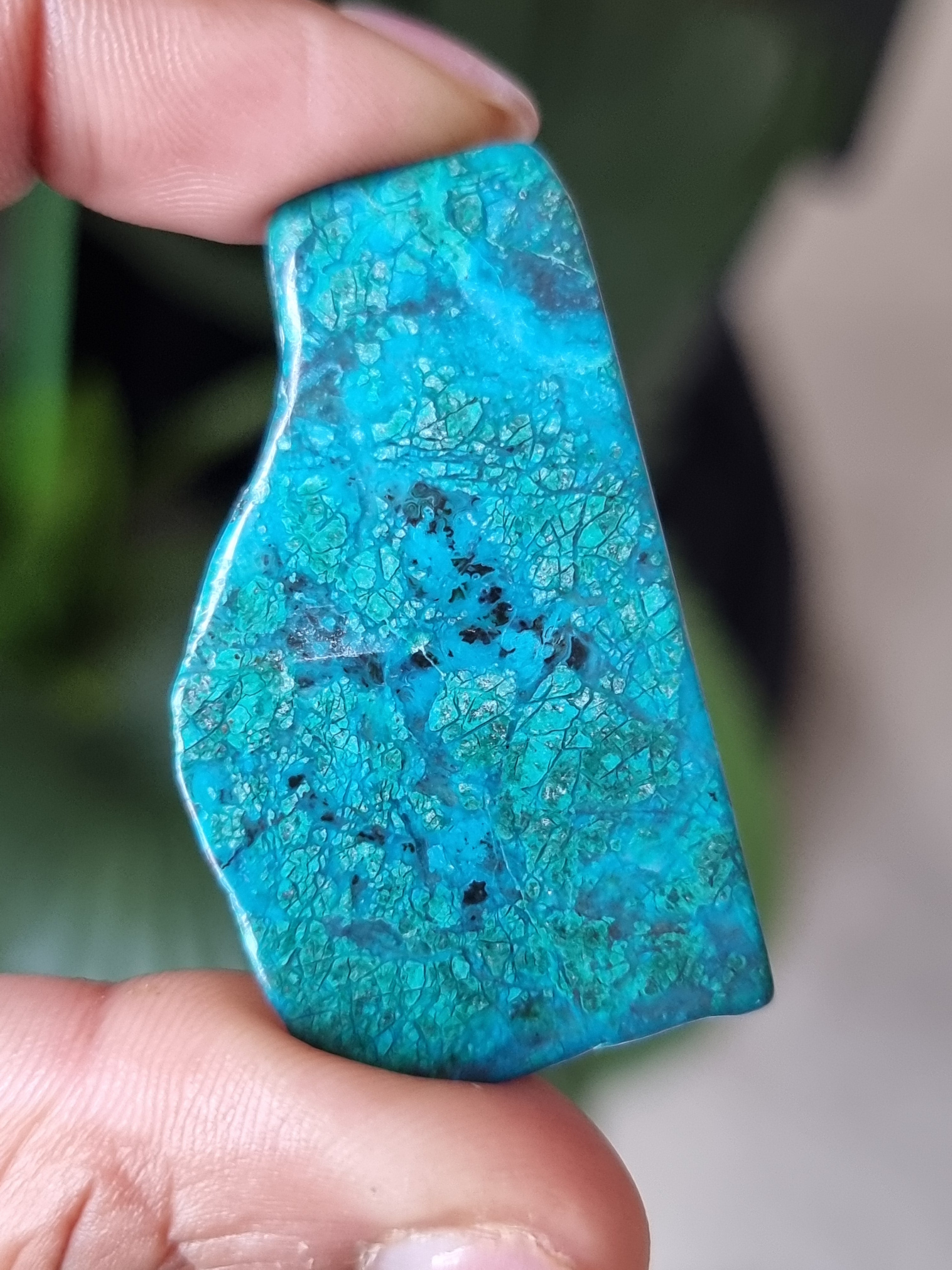 Chrysocolla Slab
