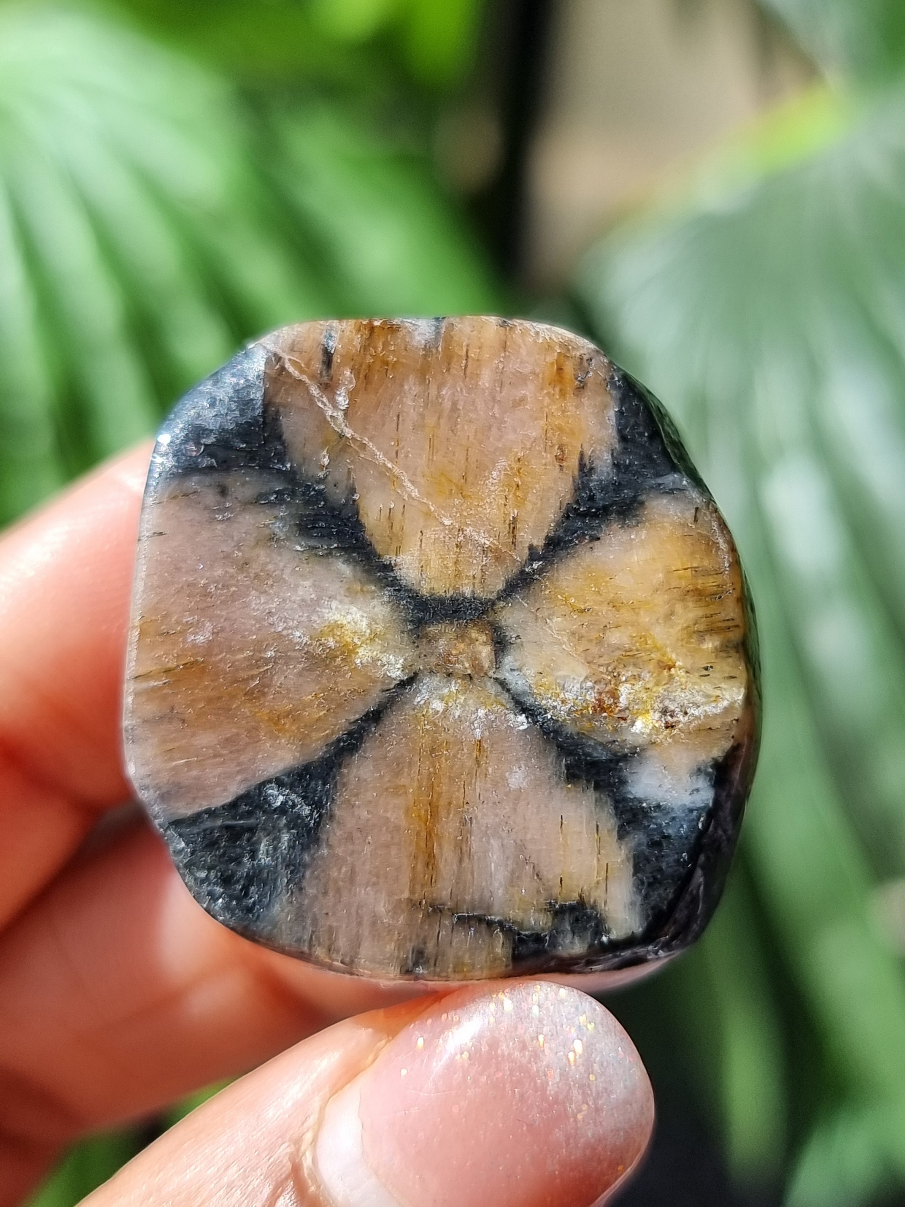 Chasiolite Rough Cut