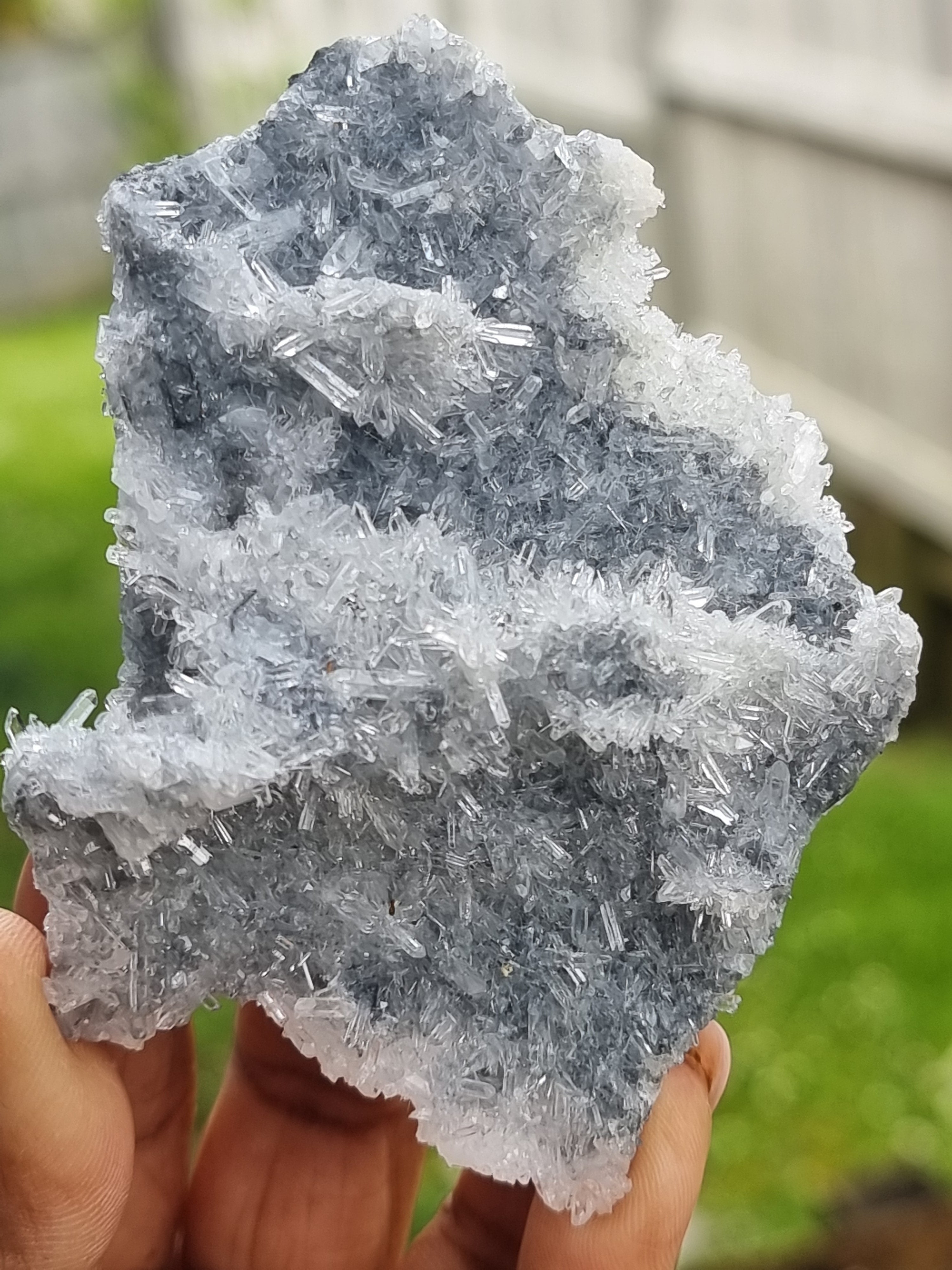Coulmbian Quartz Cluster