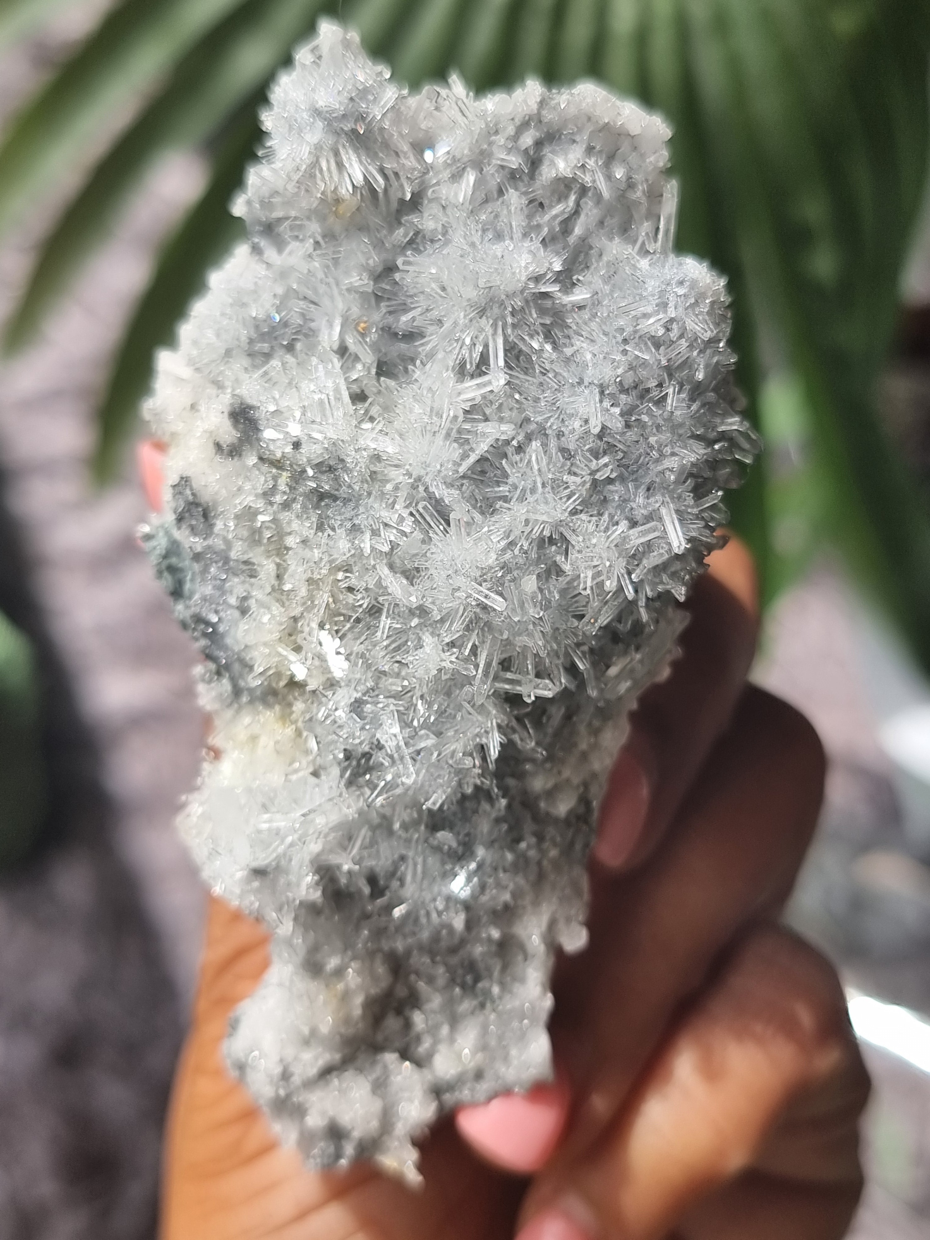Coulmbian Quartz Cluster