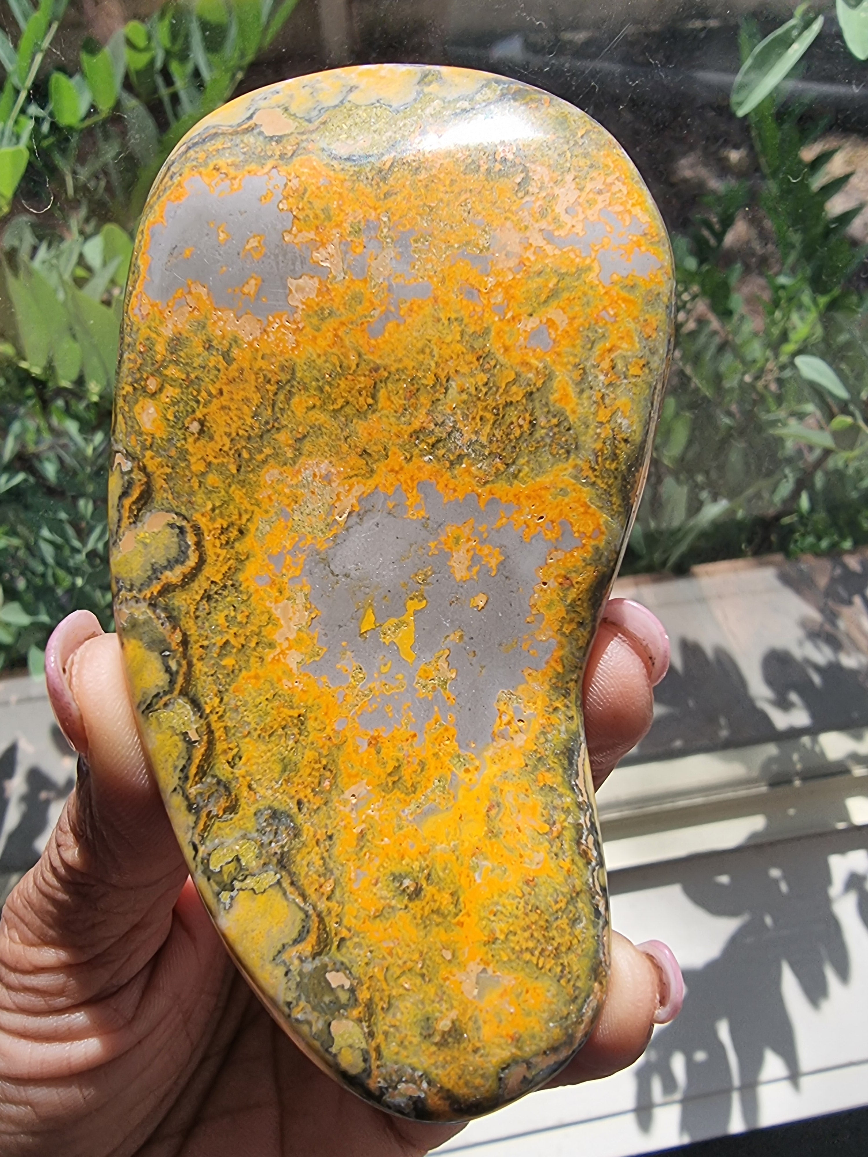 Bumblebee Jasper Slab