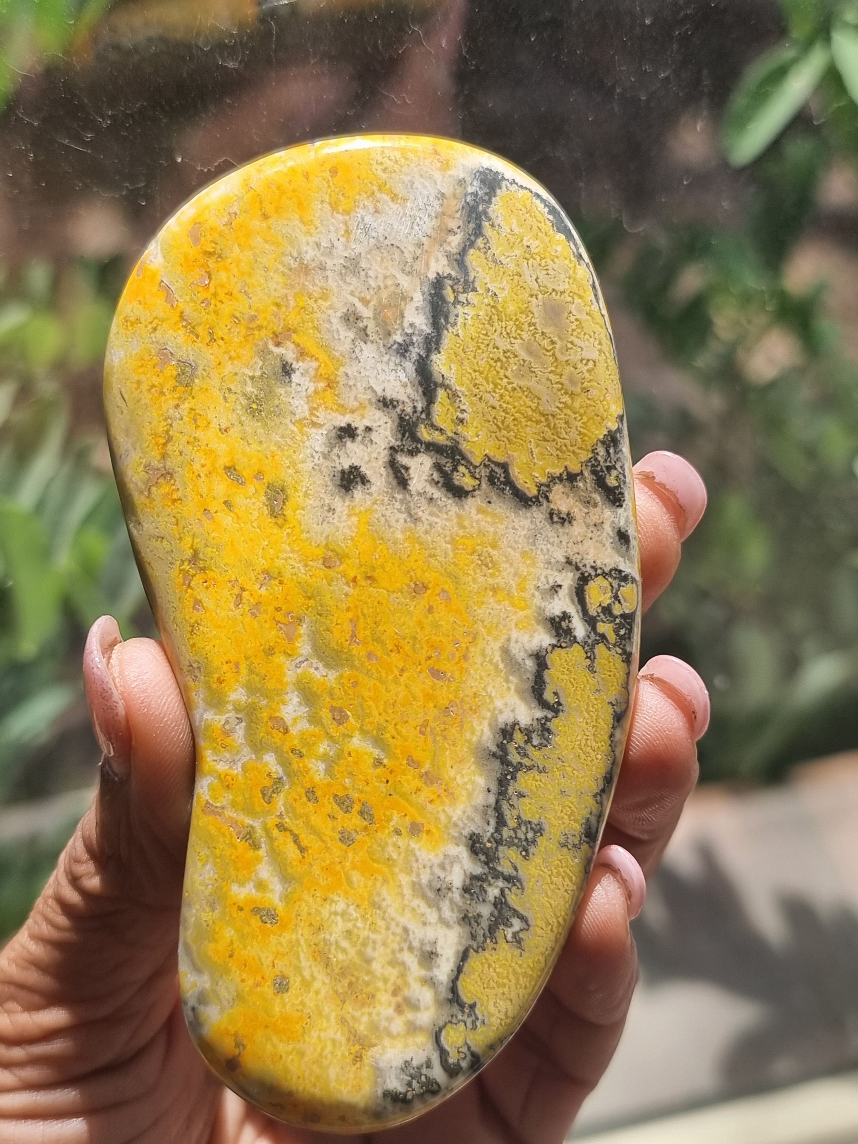 Bumblebee Jasper Slab