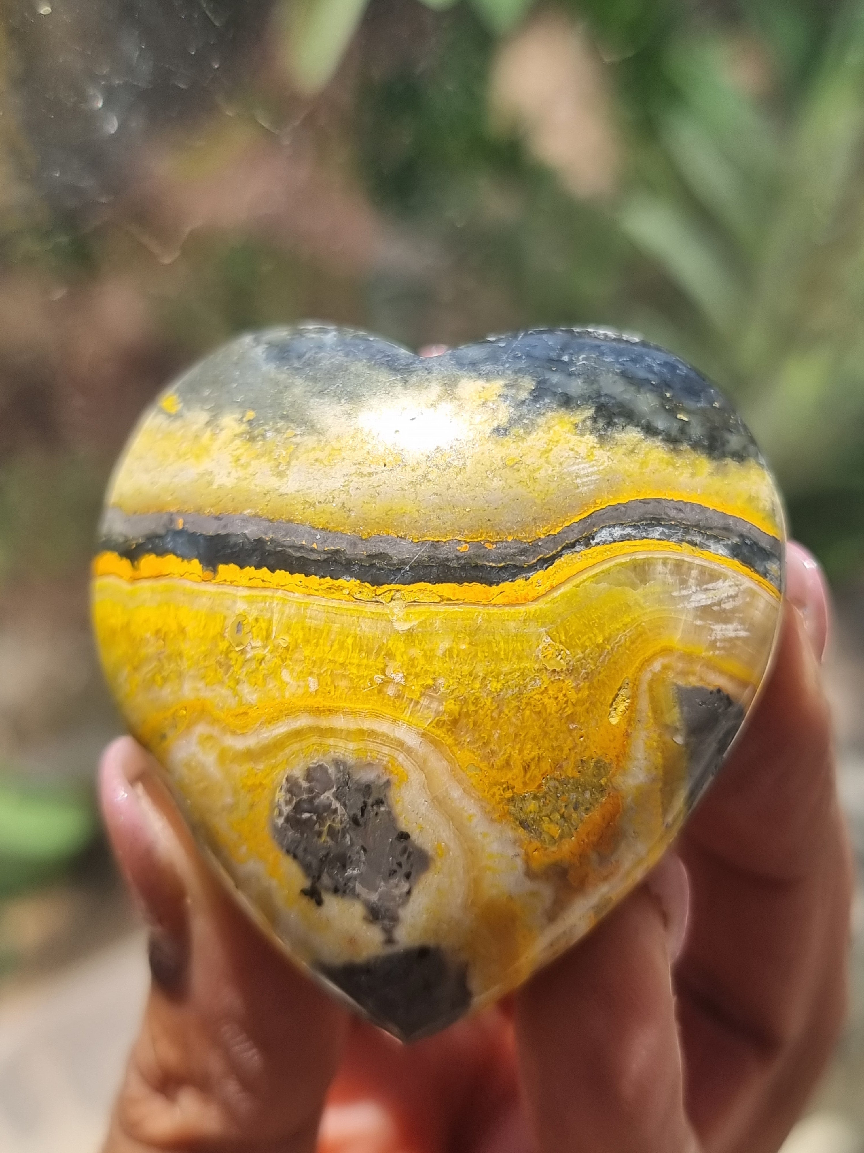 Bumblebee Jasper Heart