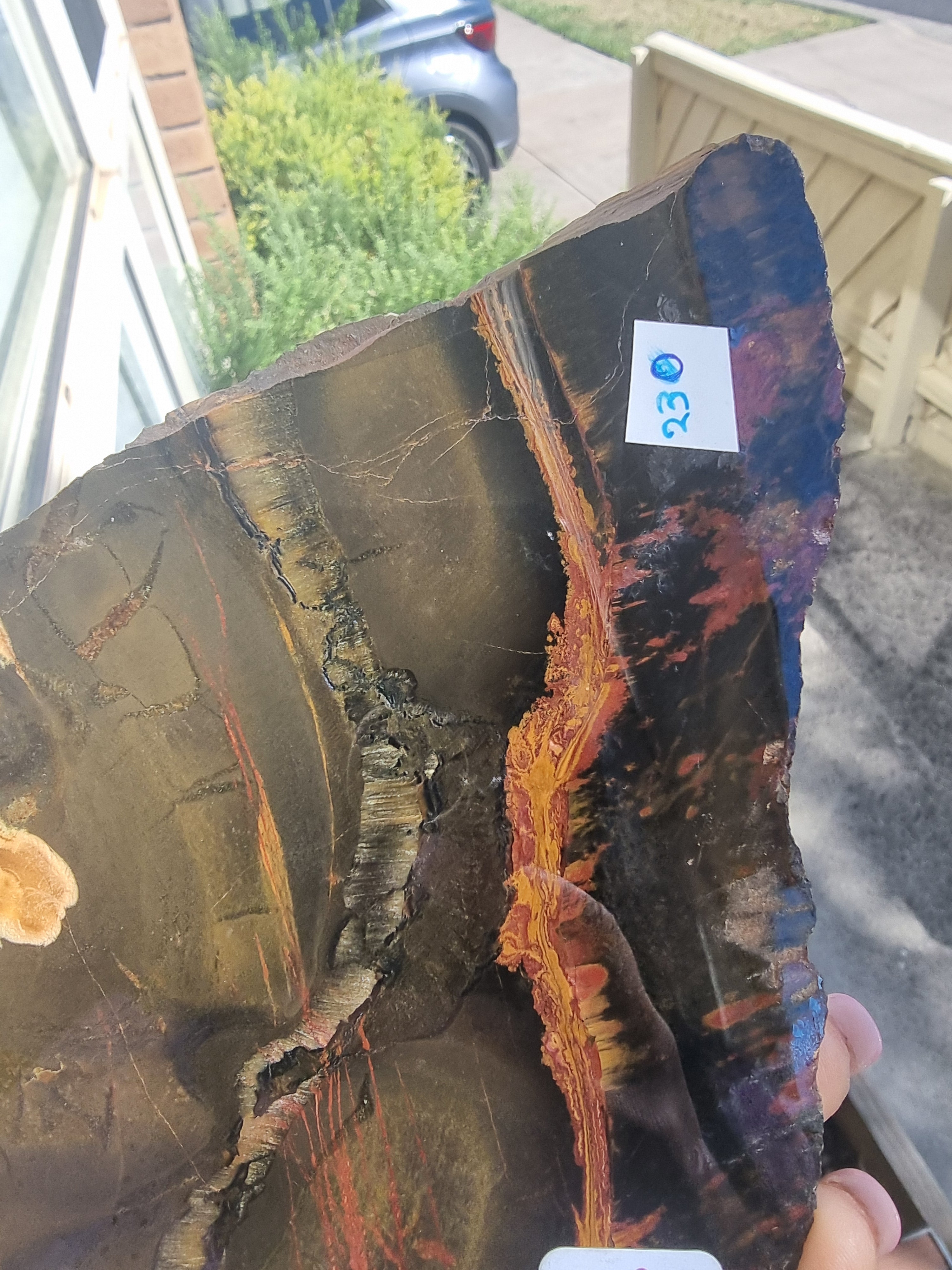 Stromatolite Rough Slab