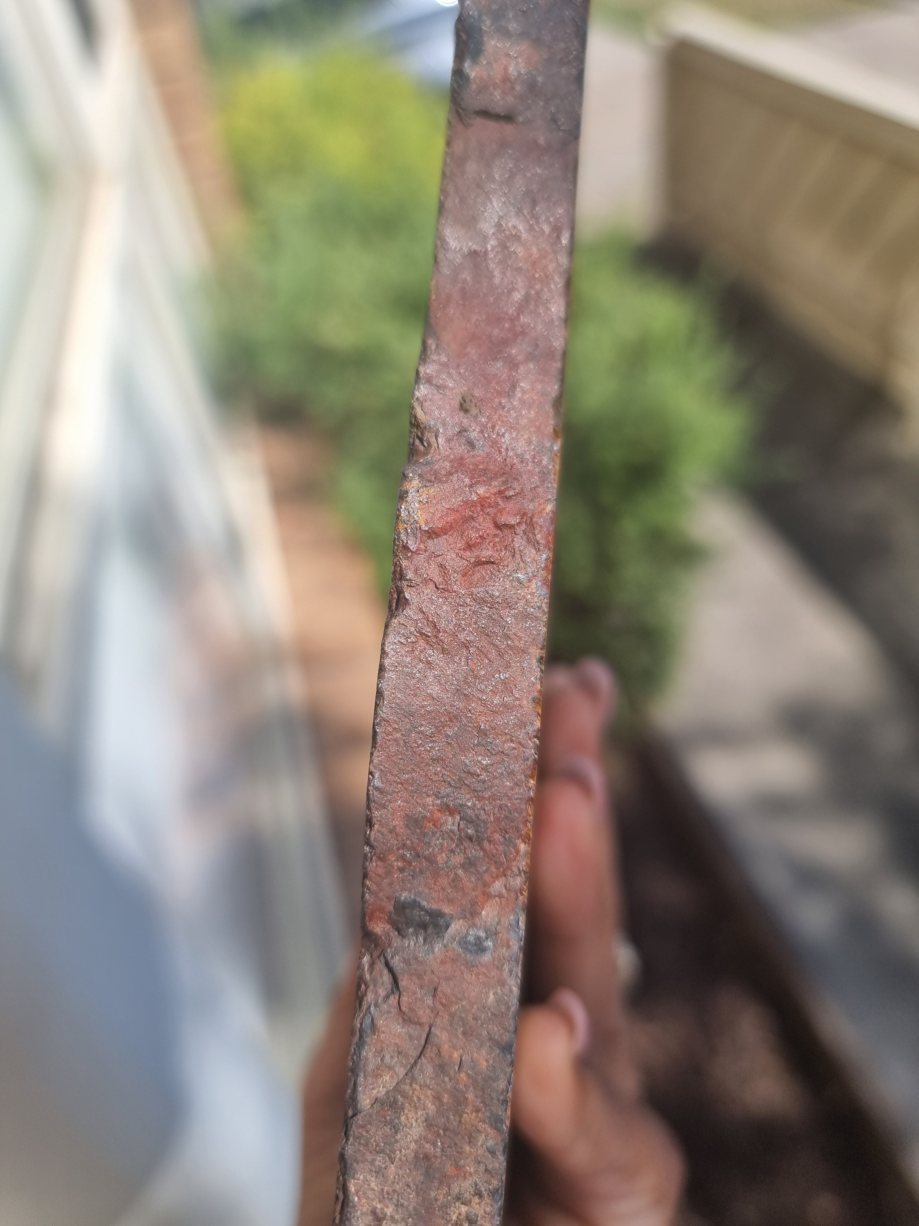 Stromatolite Rough Slab