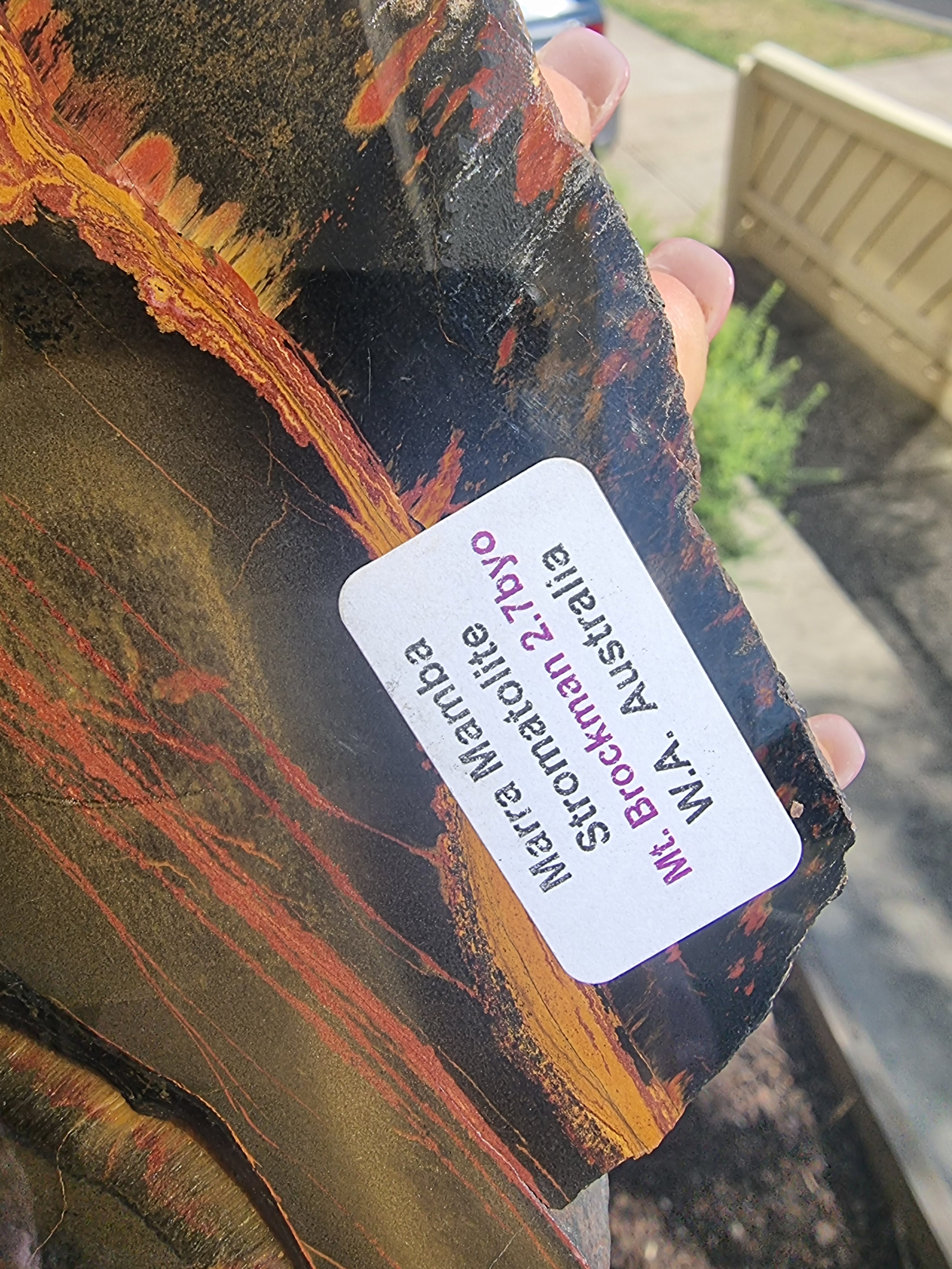 Stromatolite Rough Slab