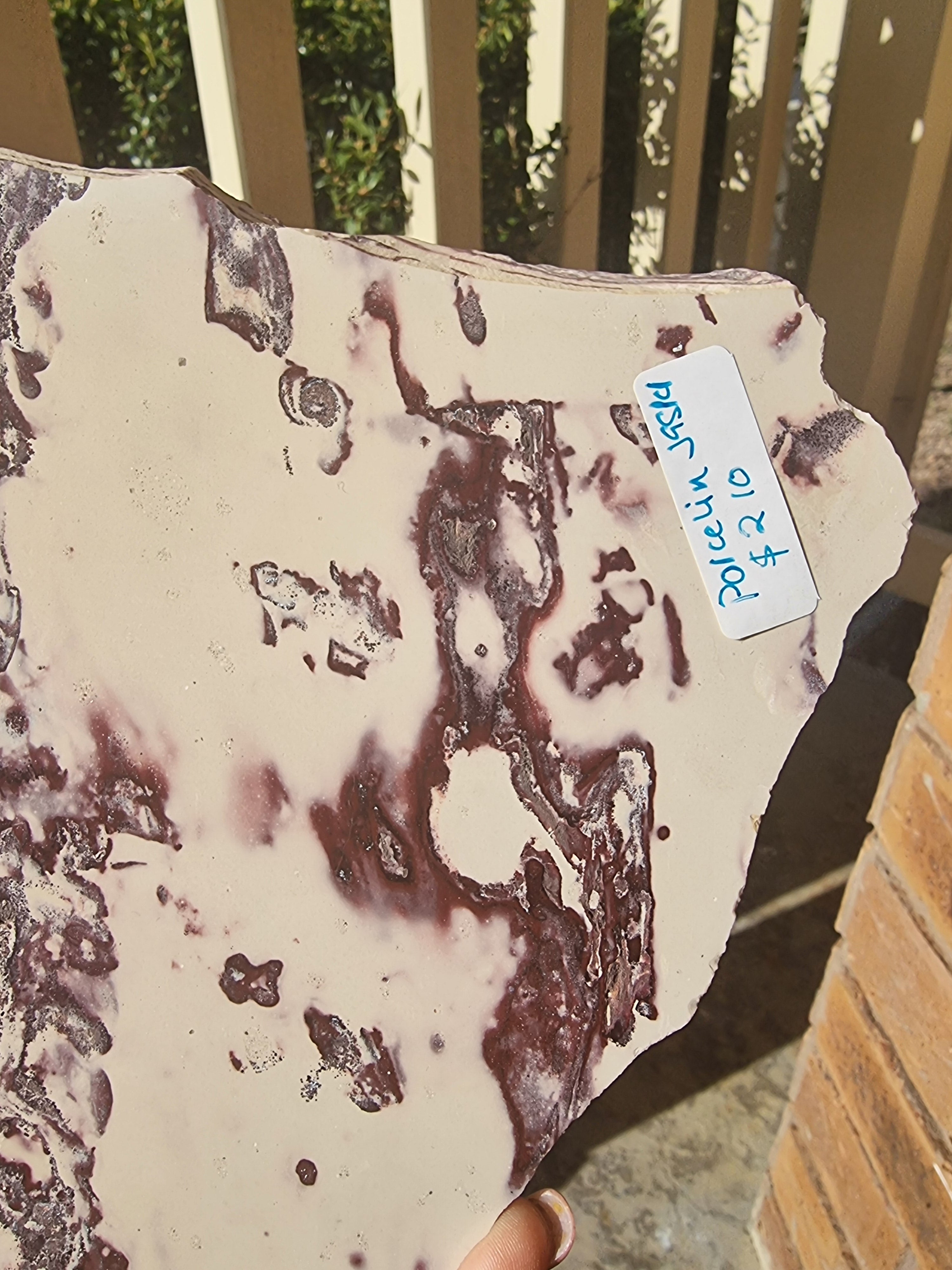 Porcelain Jasper Rough Slab