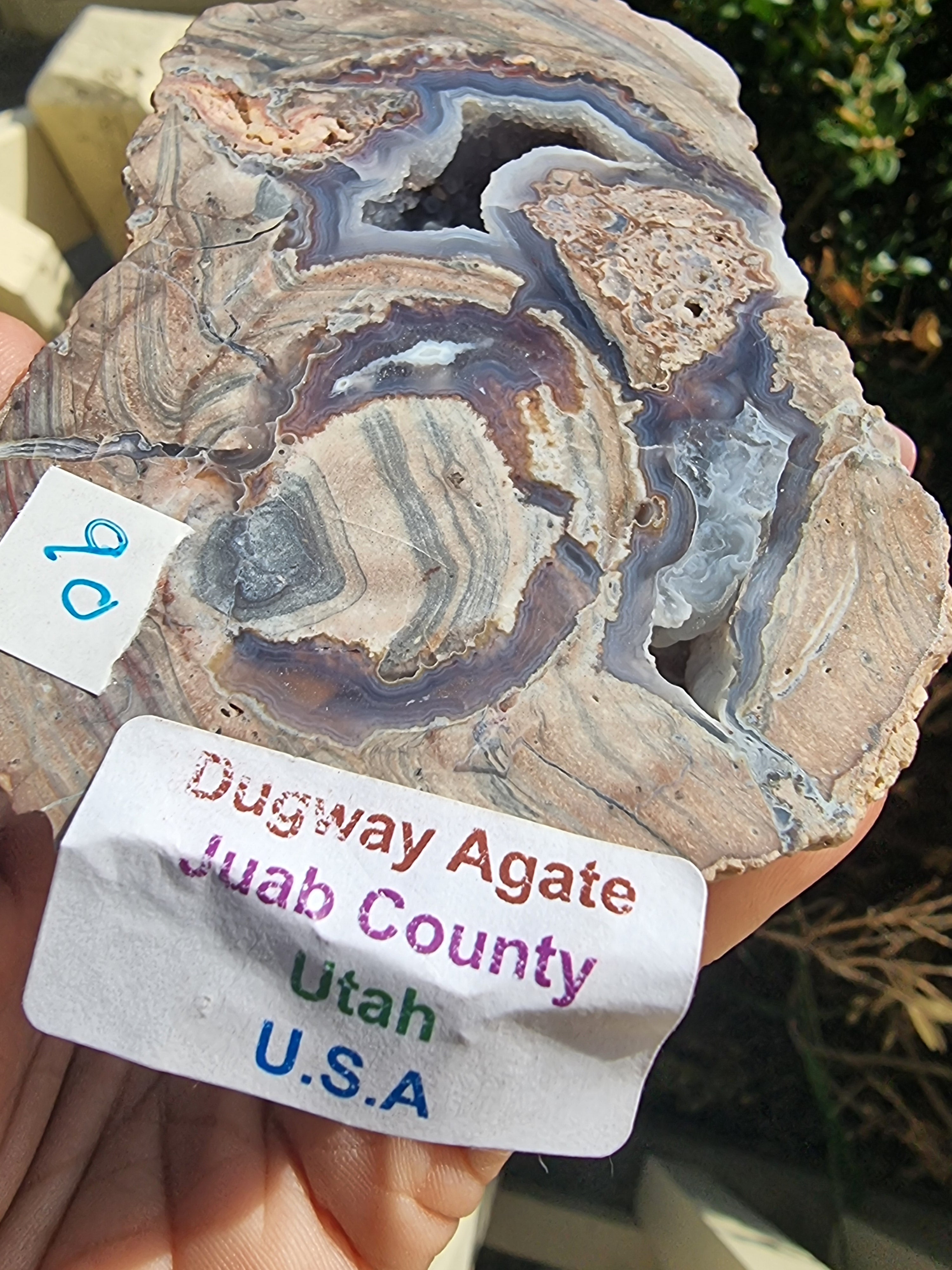 Drugway Agate Geode