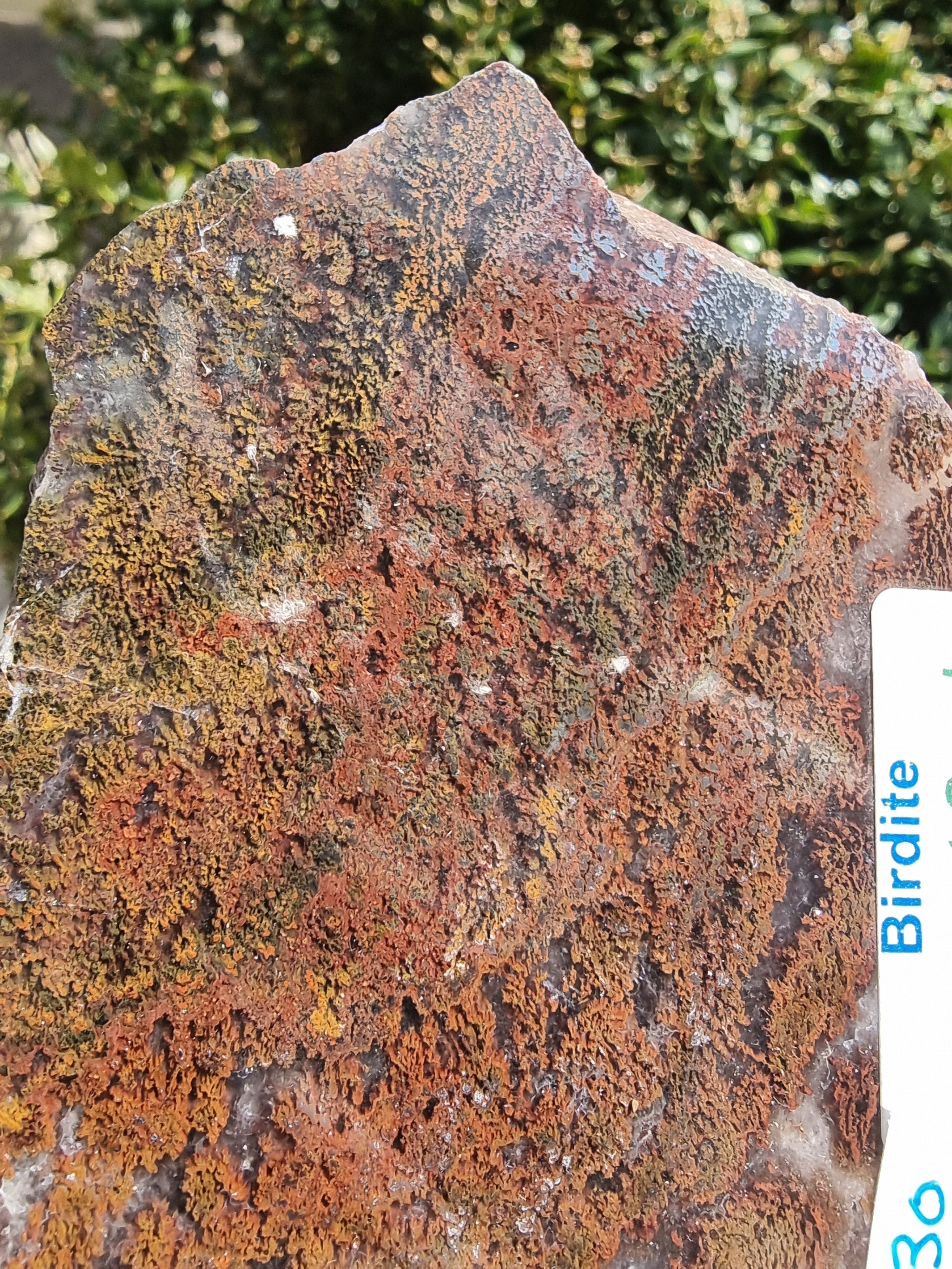 Birdite Rough Slab