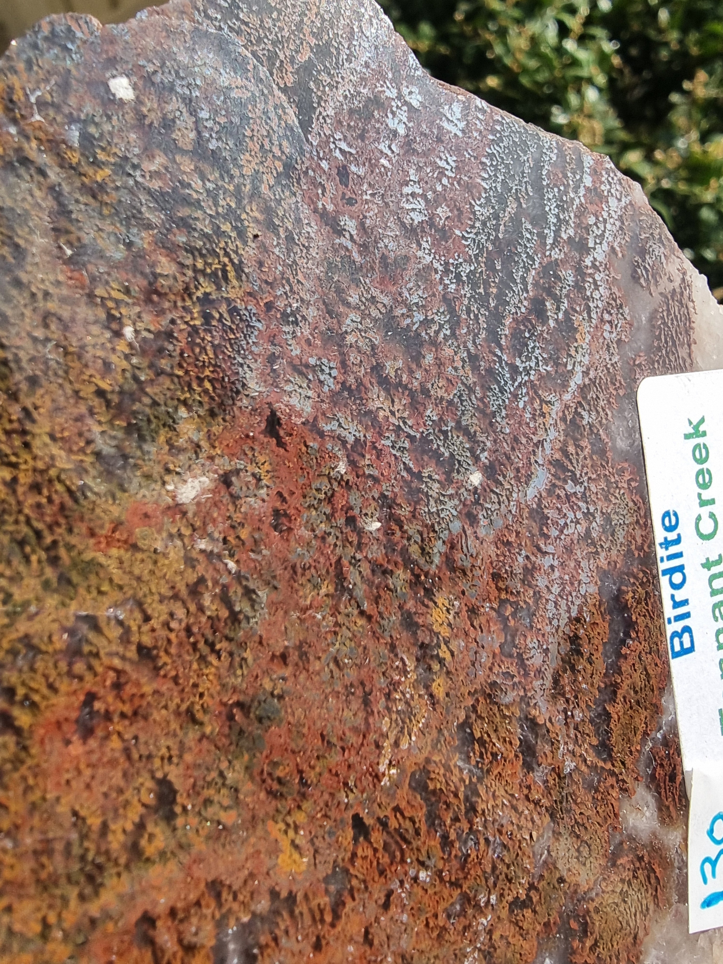 Birdite Rough Slab