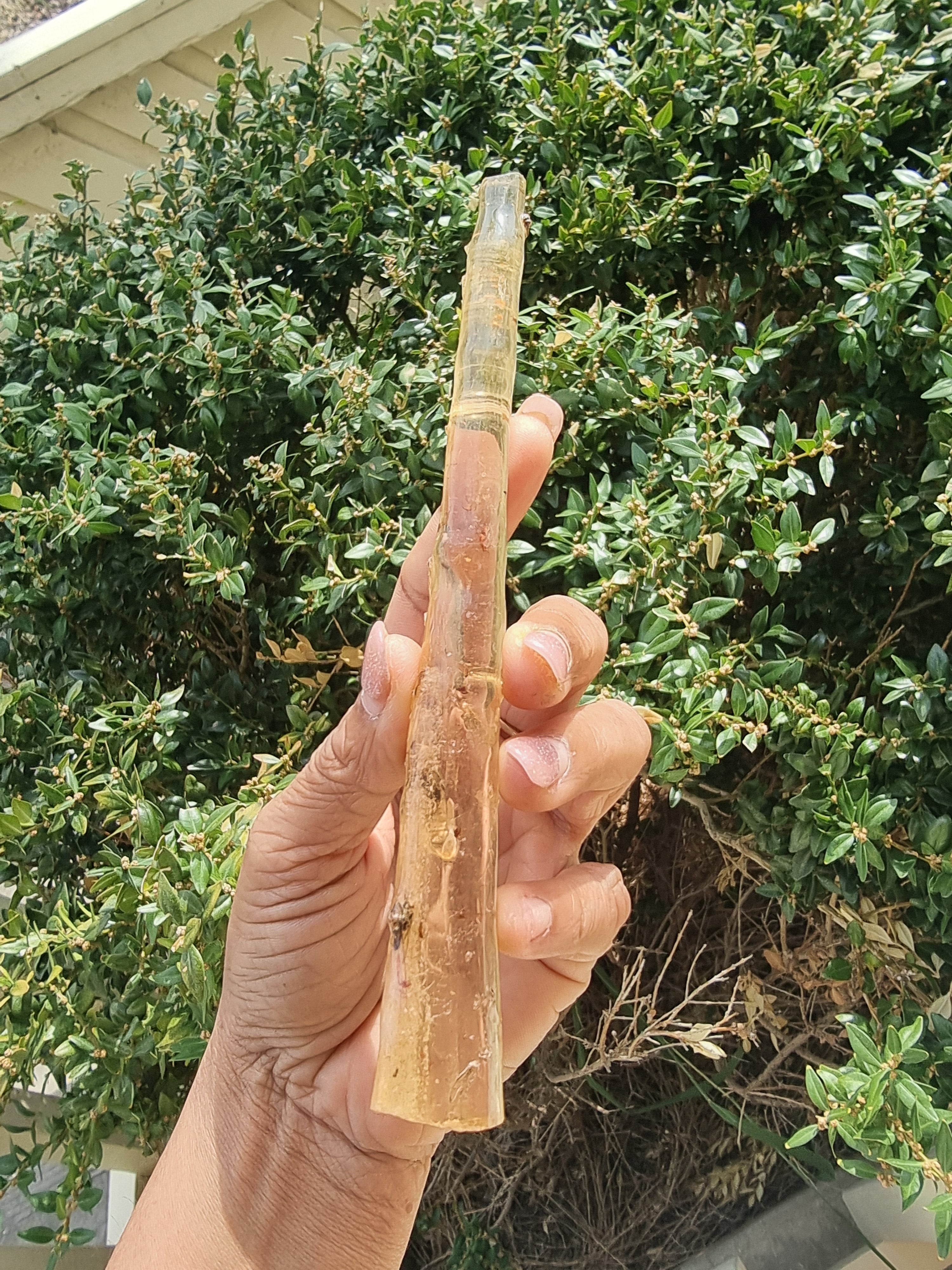 Copal Amber Rough Wand