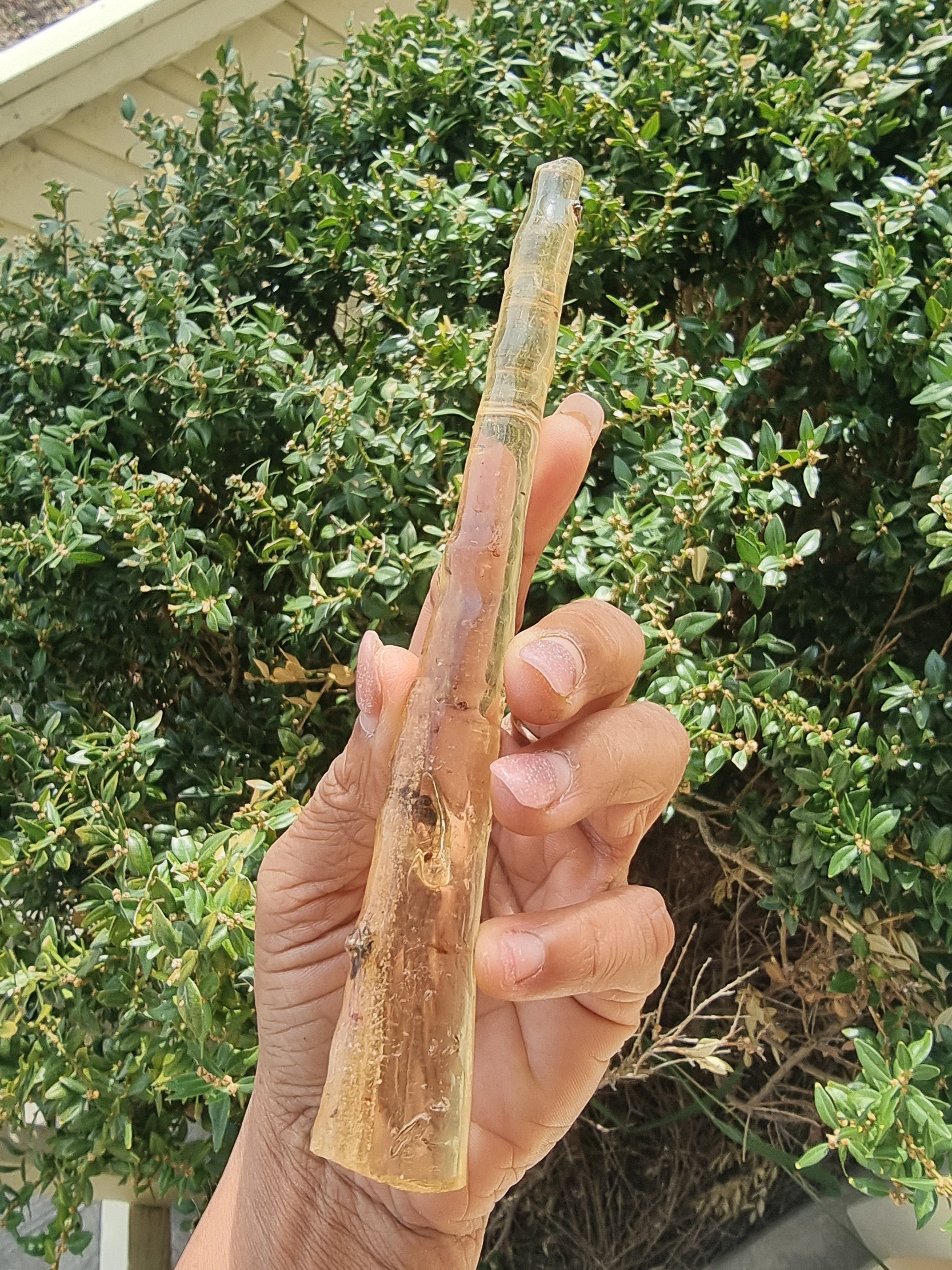 Copal Amber Rough Wand