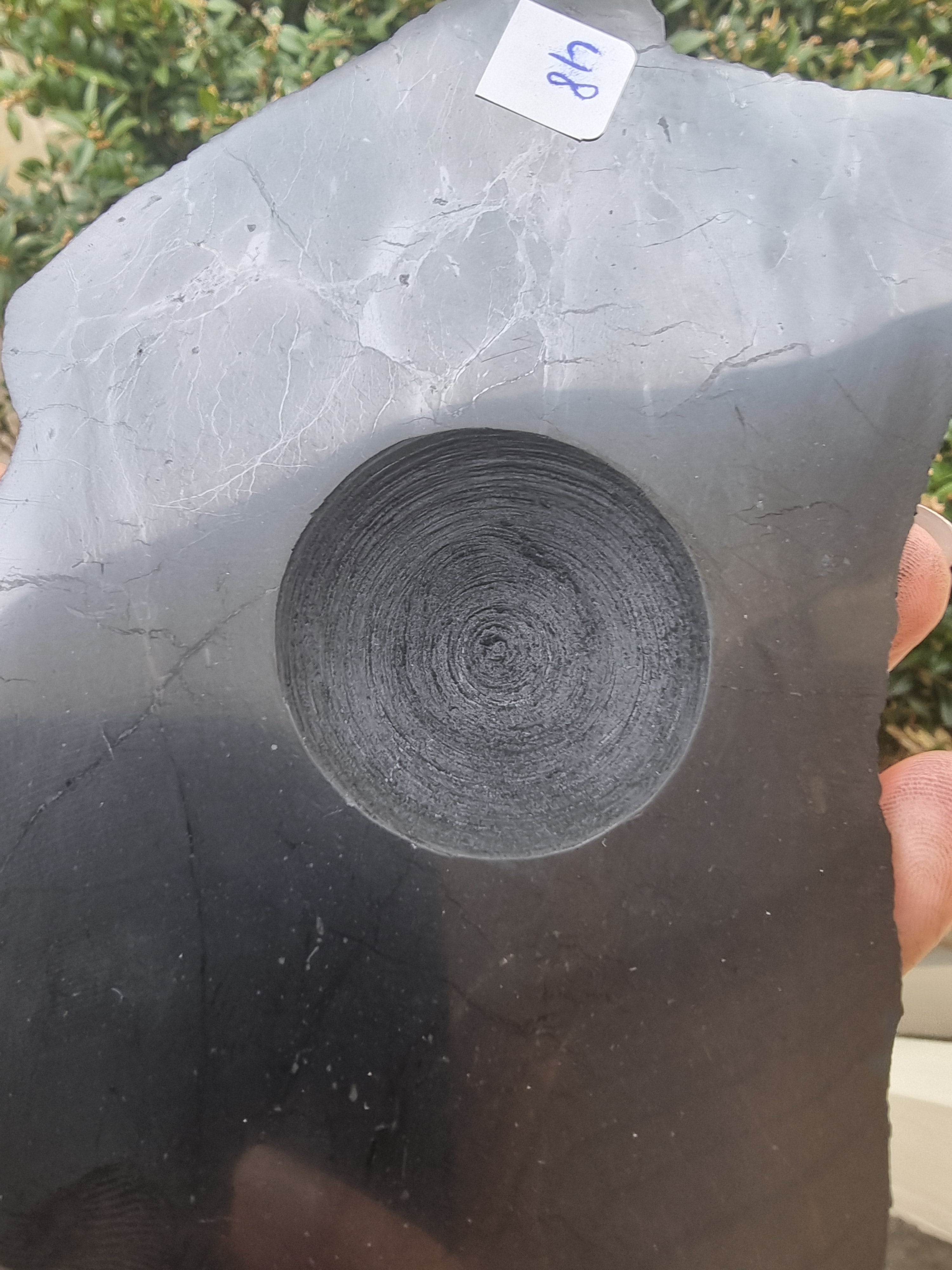 Shungite Sphere Holder