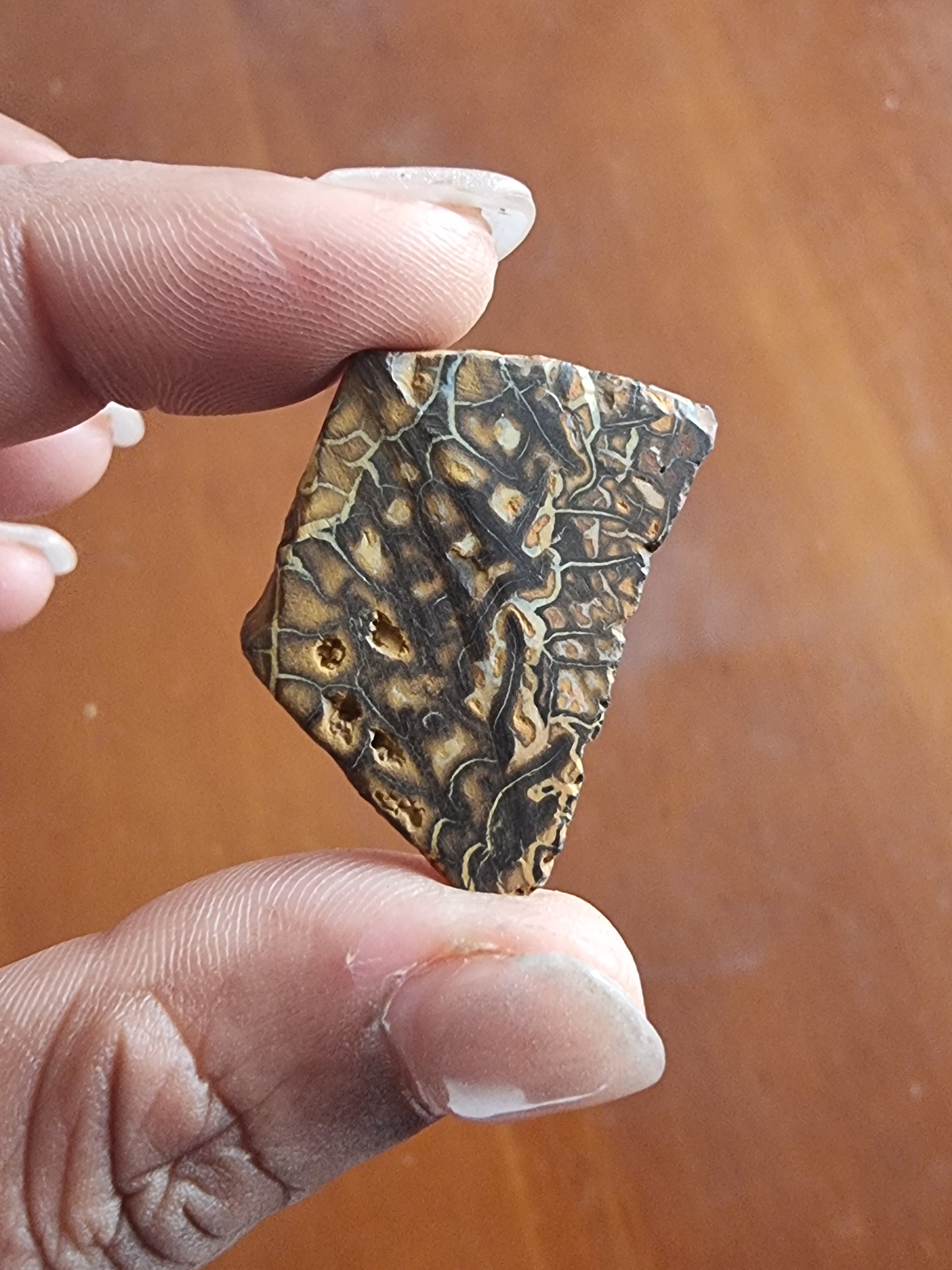 Boulder Opal Rough Slab