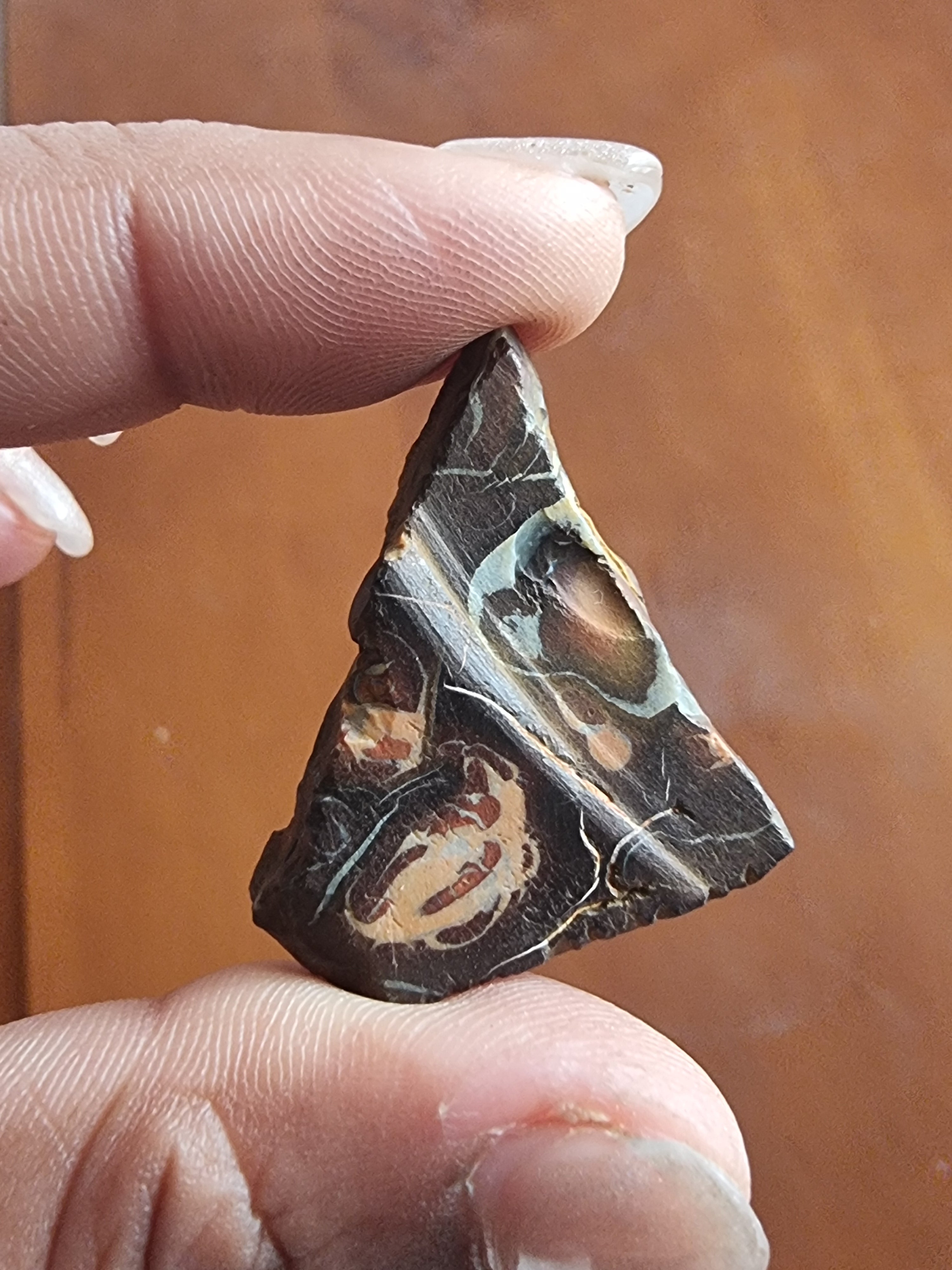 Boulder Opal Rough Slab