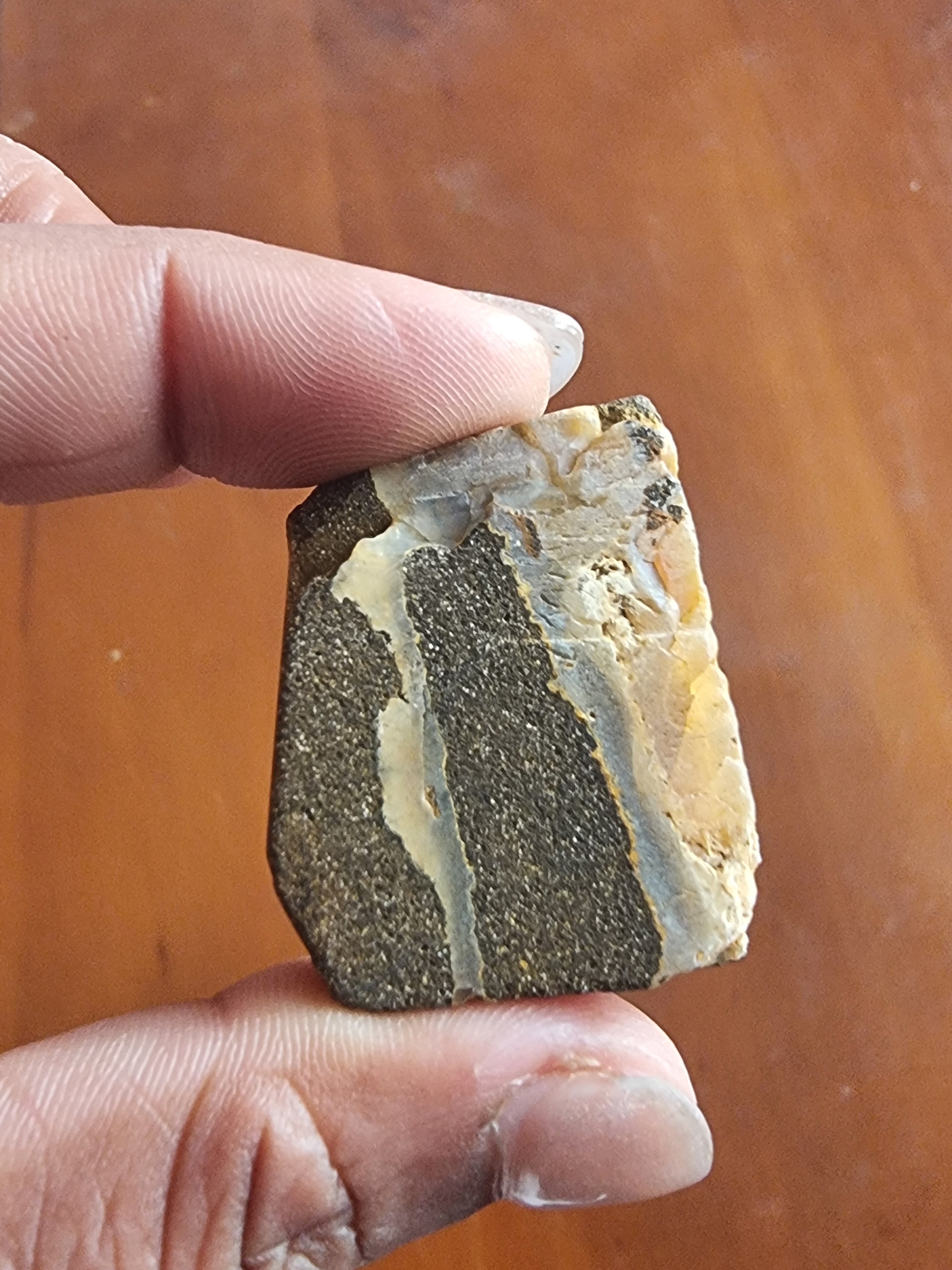 Boulder Opal Rough Slab