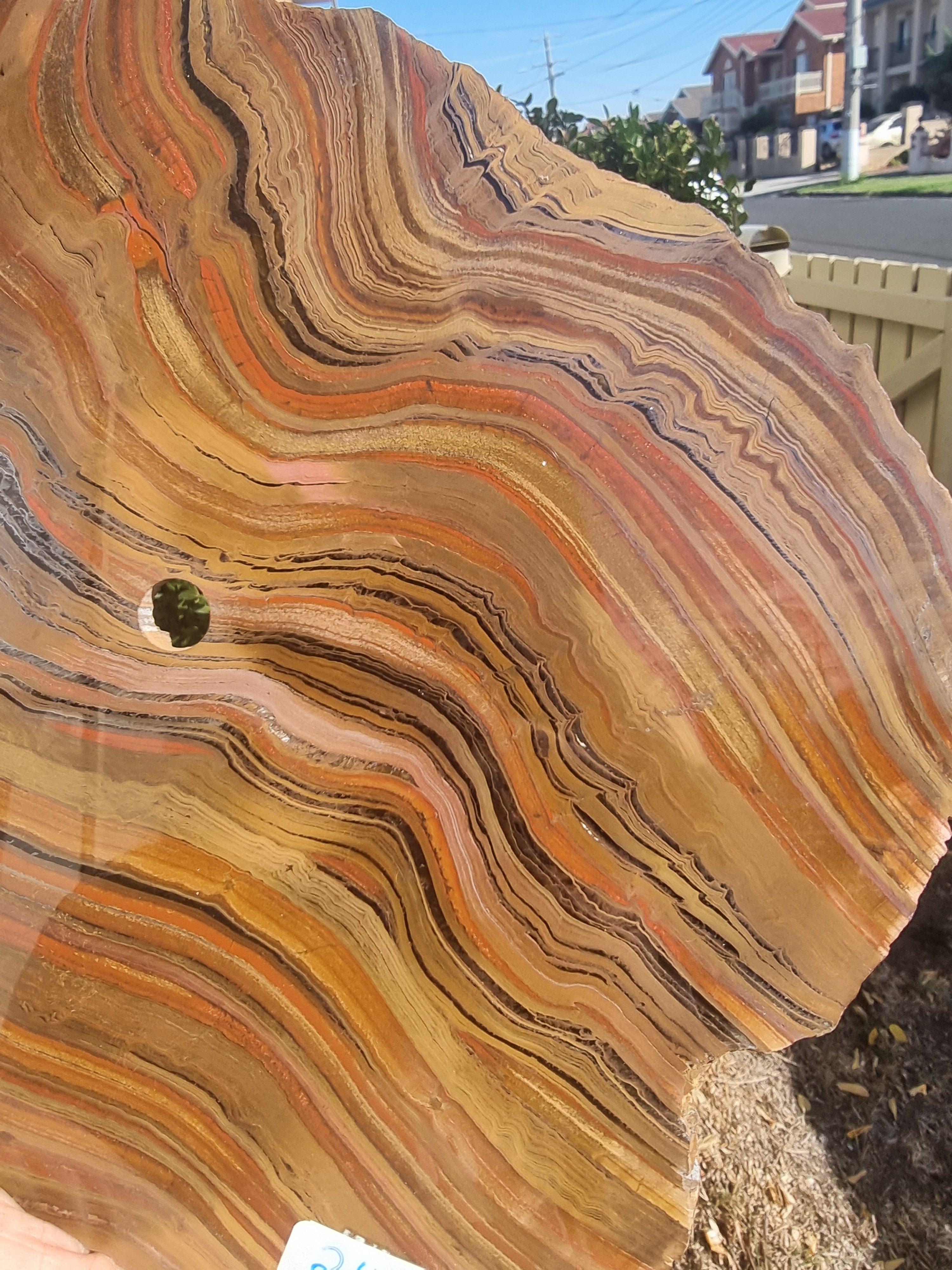 Tigers eye with Hematite Rough Slab Large