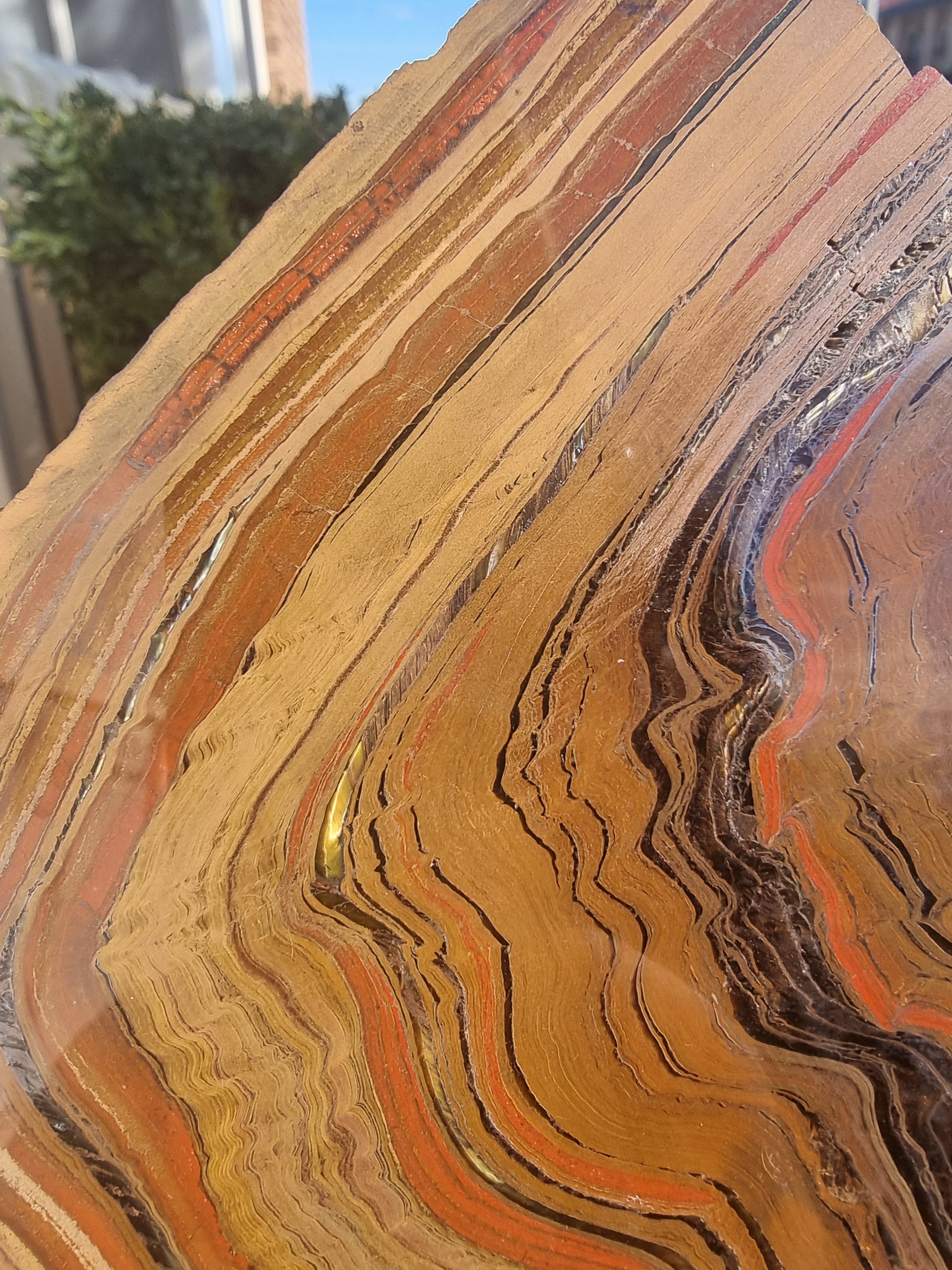 Tigers eye with Hematite Rough Slab Large