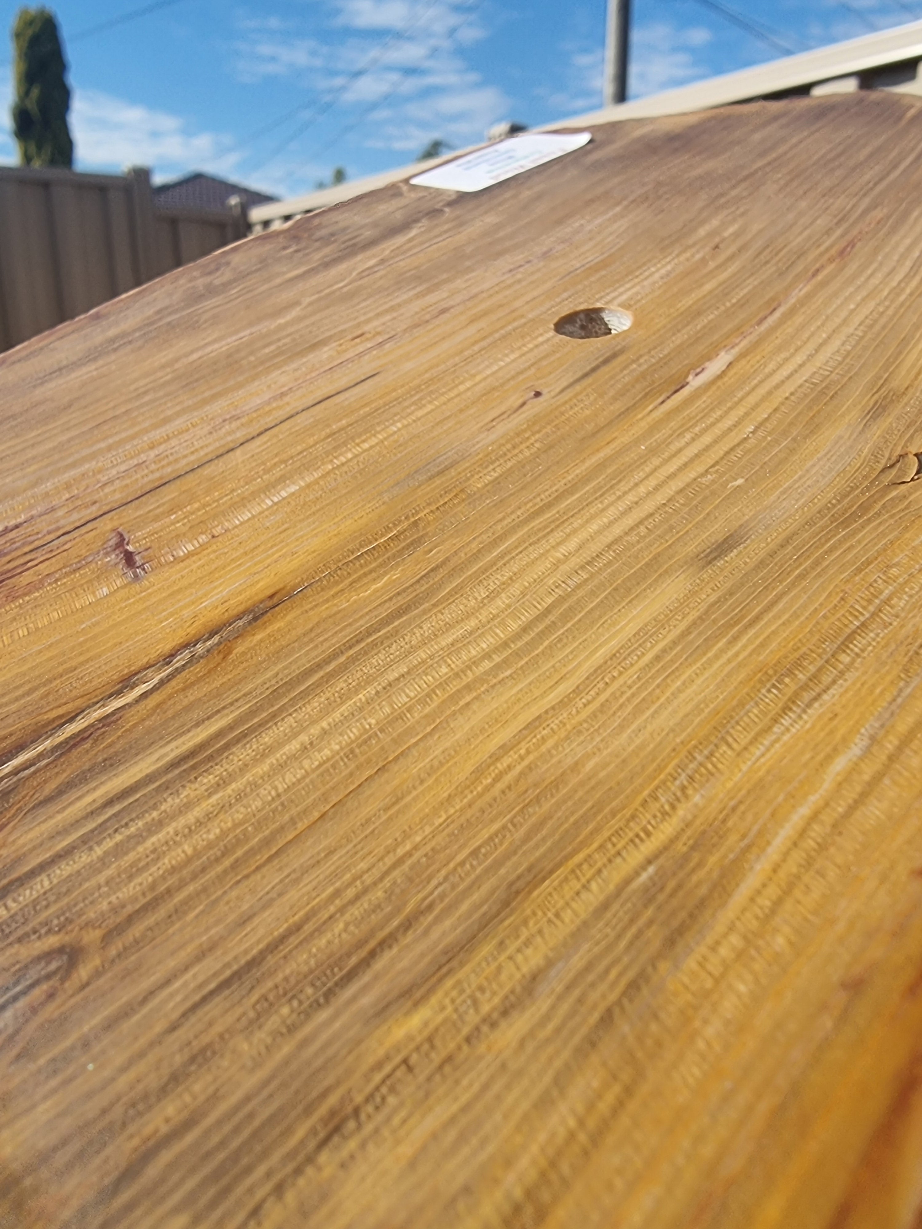 Fossil Wood Rough Slab