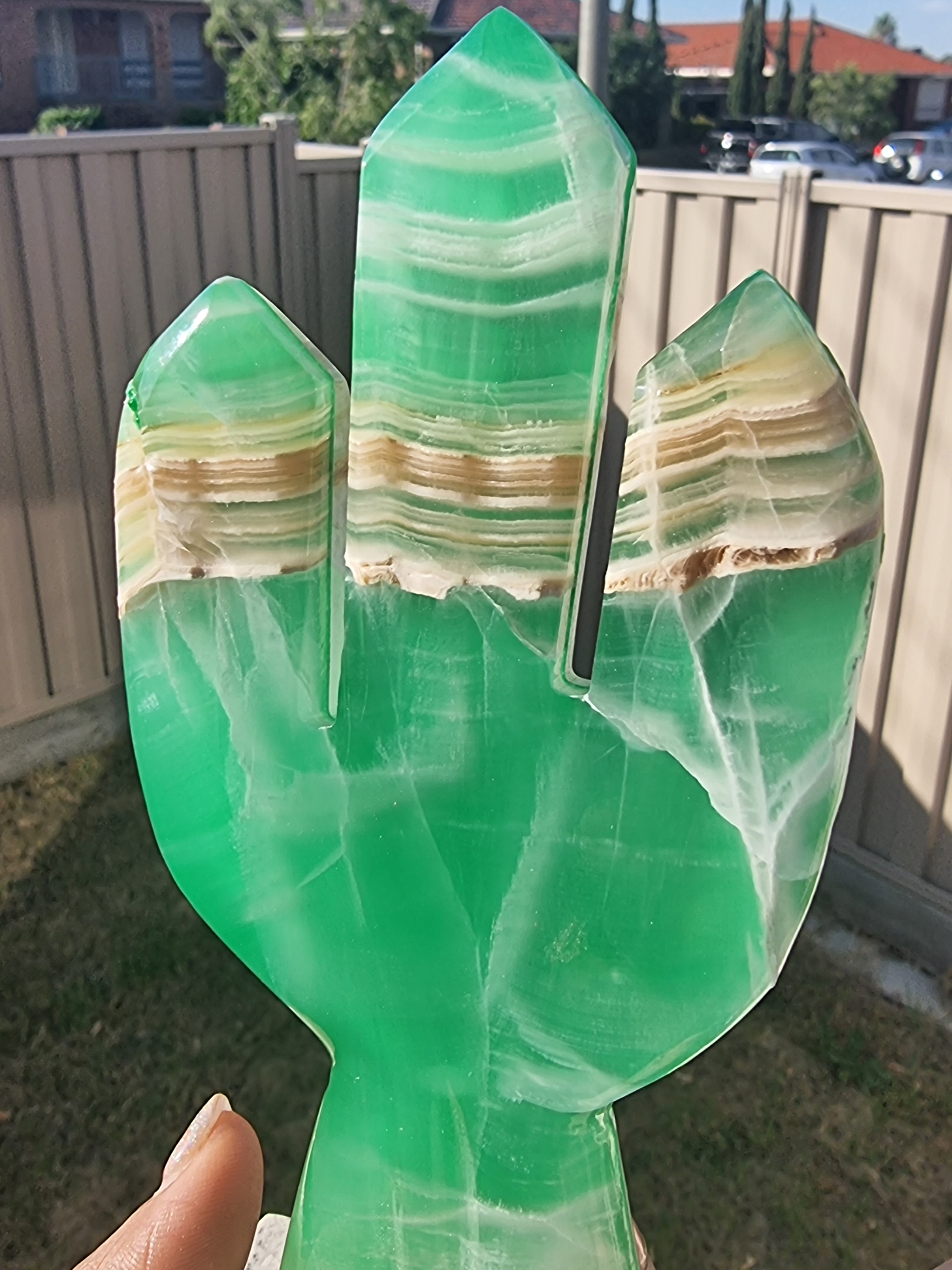 Green banded Calcite Cactus