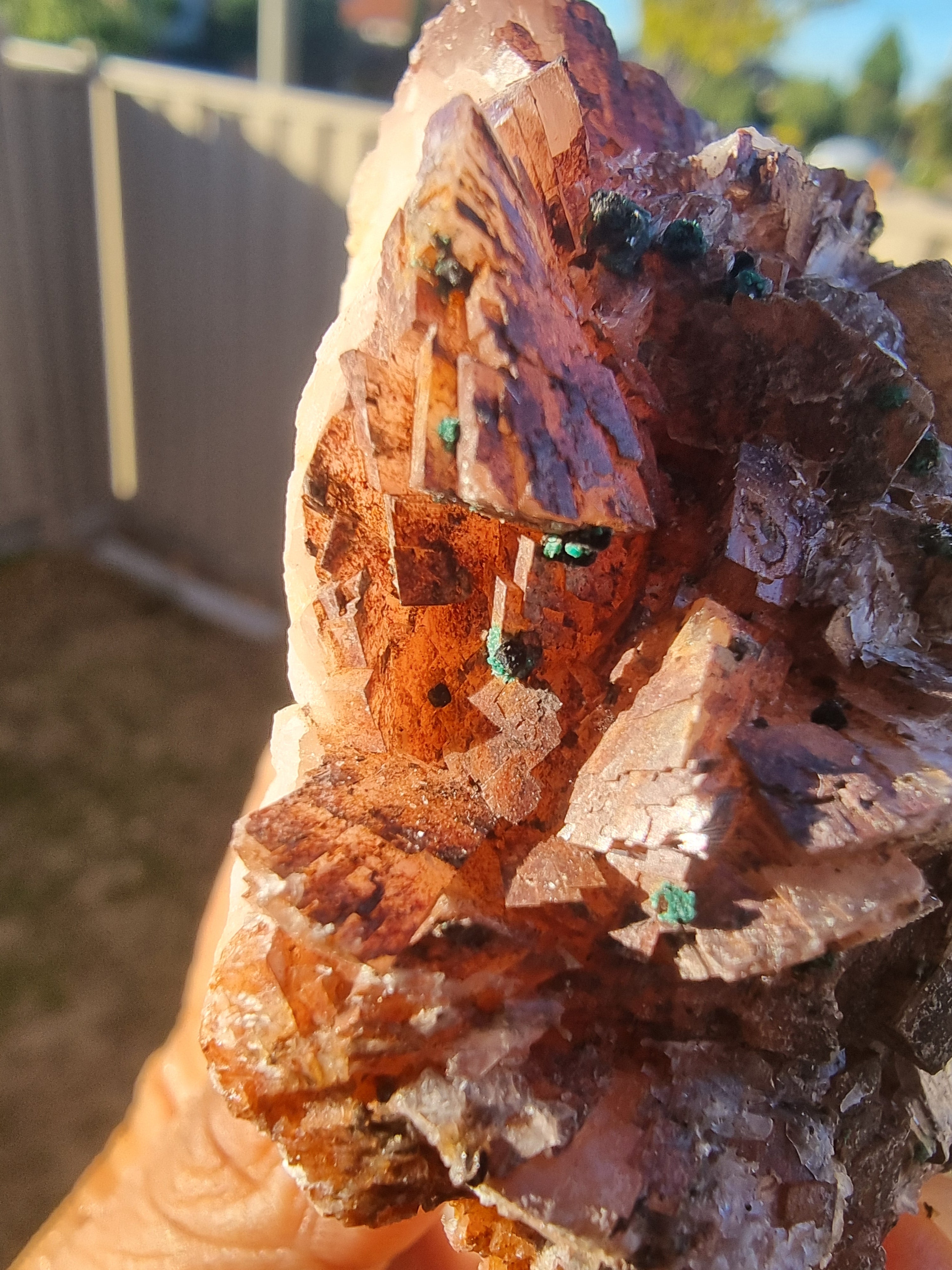 Stillbite Rough Cluster