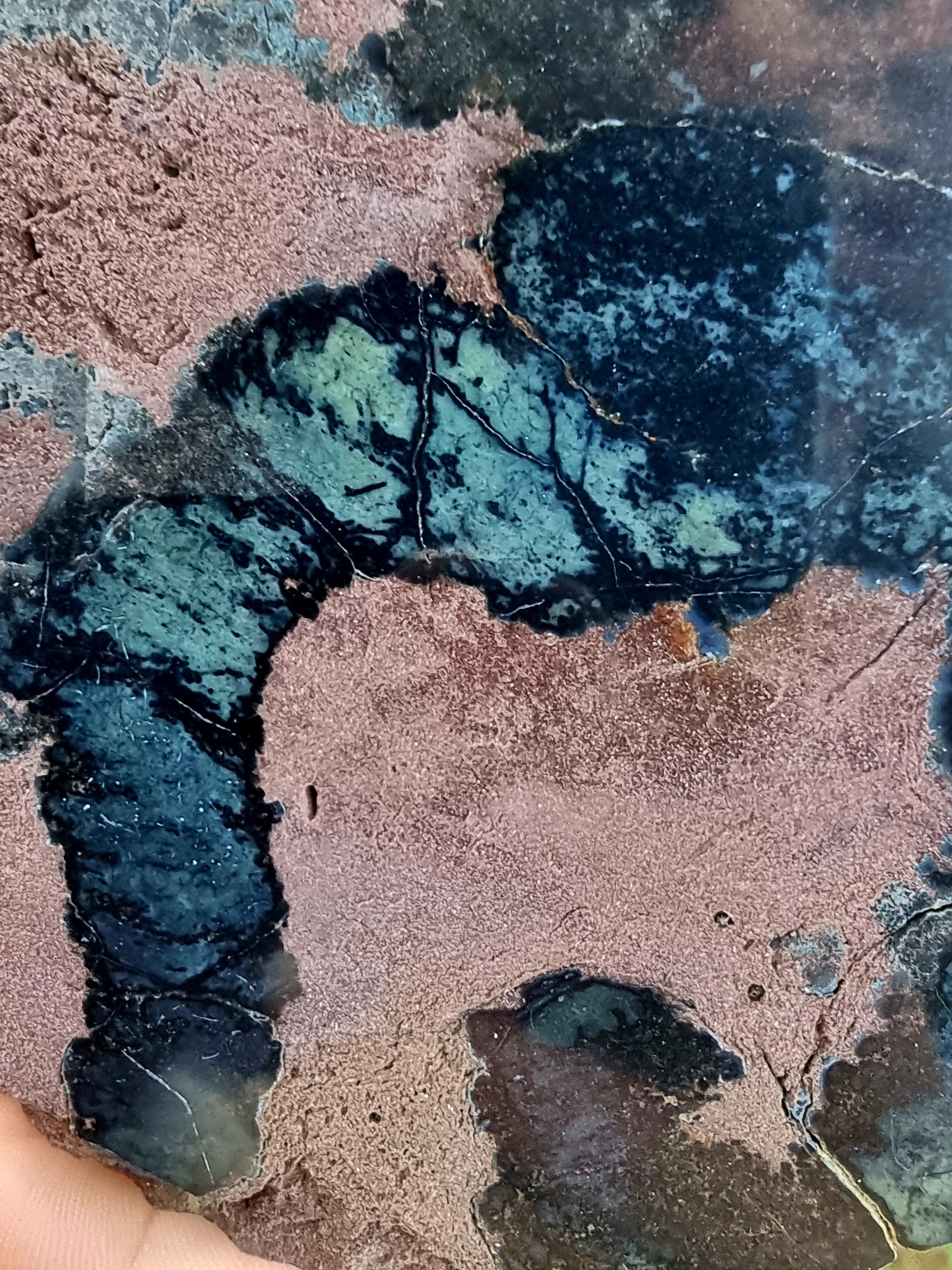 Vivianite Polished in Matrix