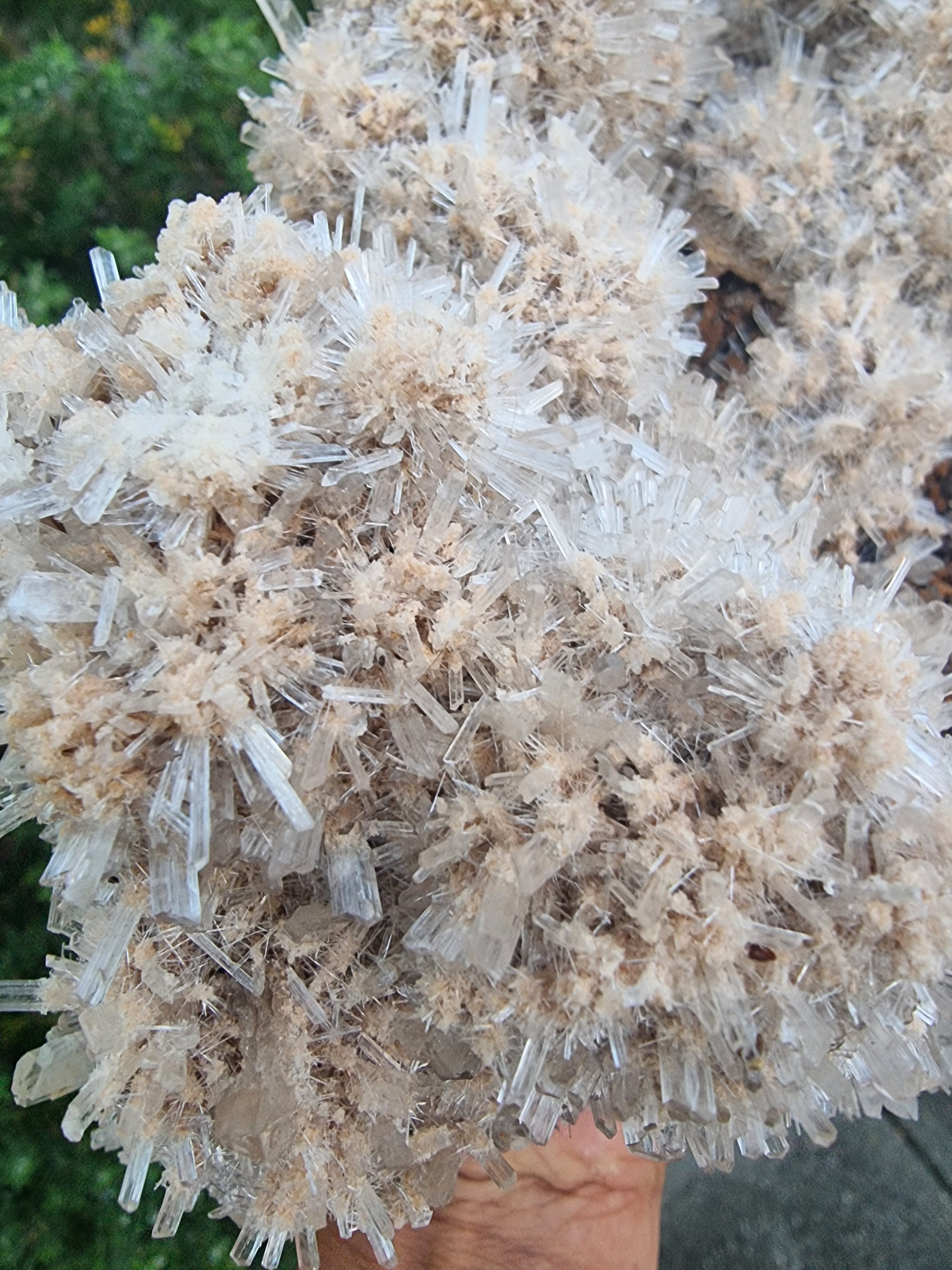 Gypsum Crystal Cluster